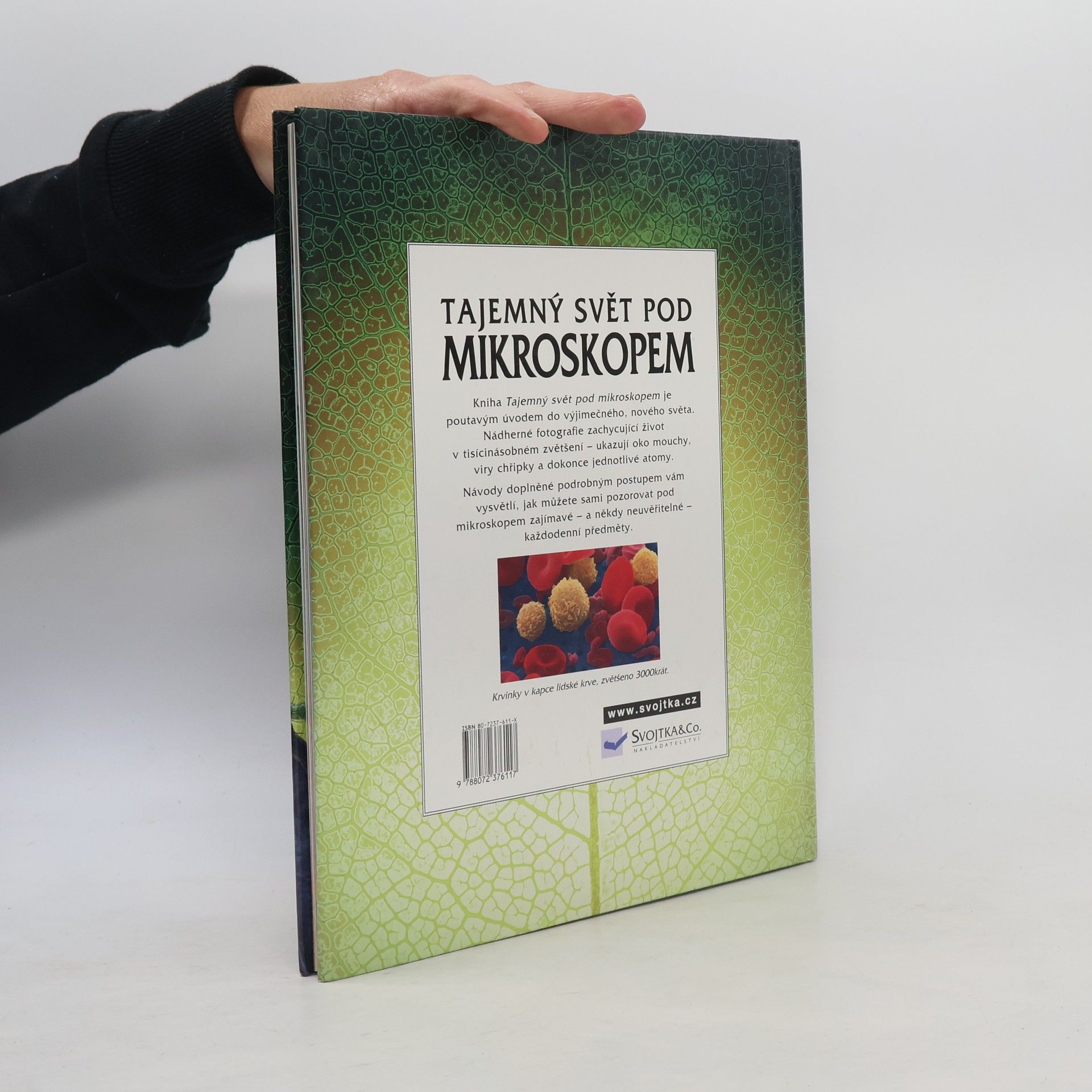 Kirsteen Rogers Tajemný svět pod mikroskopem