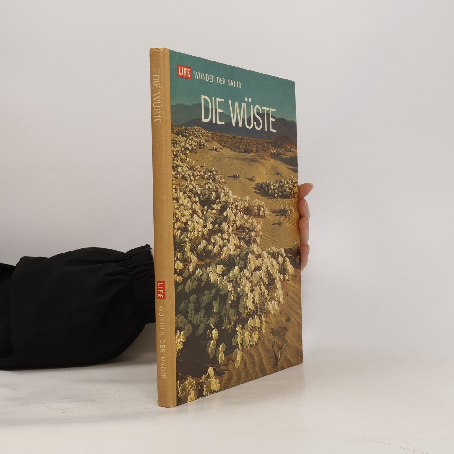 Kolektiv autorů Die Wüste