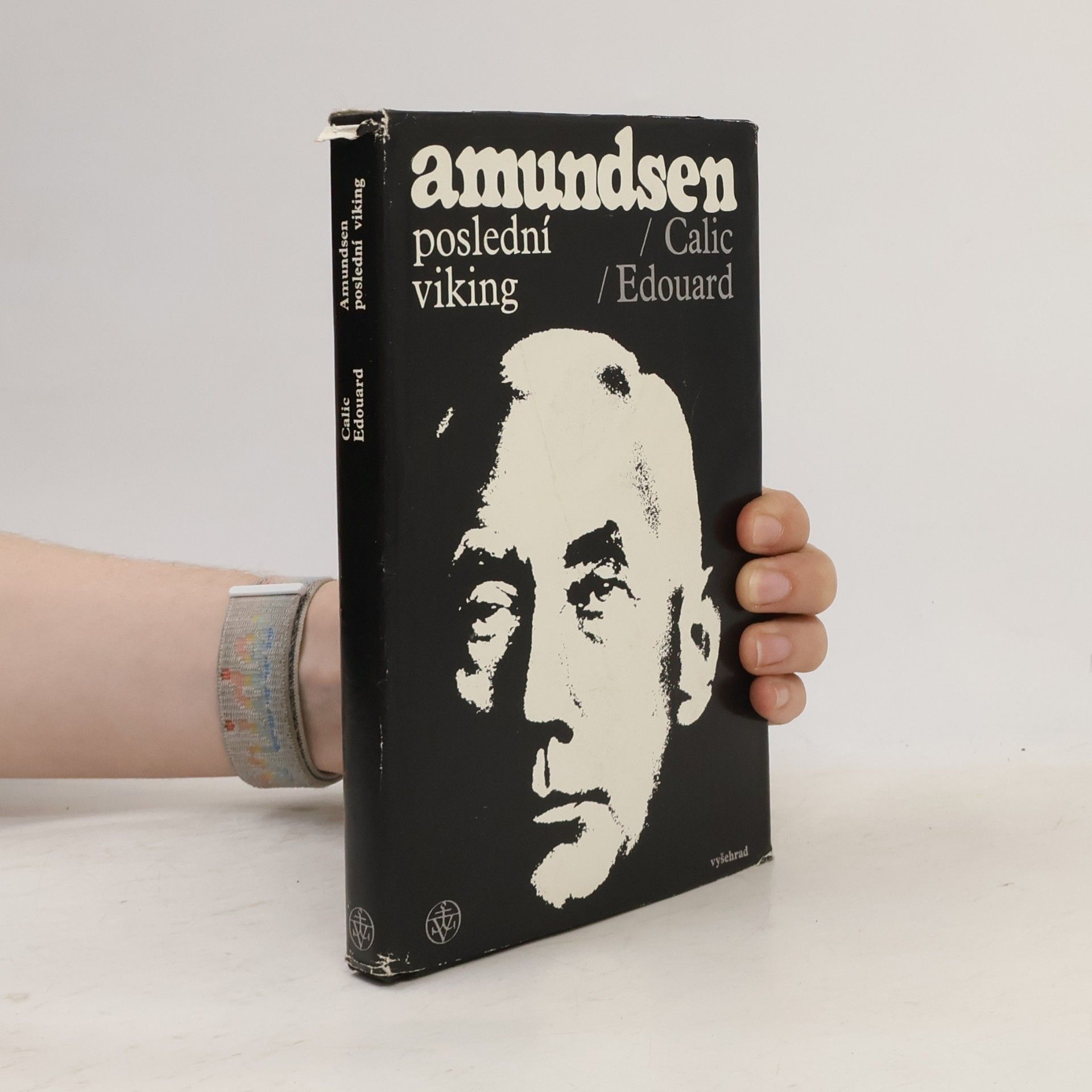 Amundsen. Poslední viking