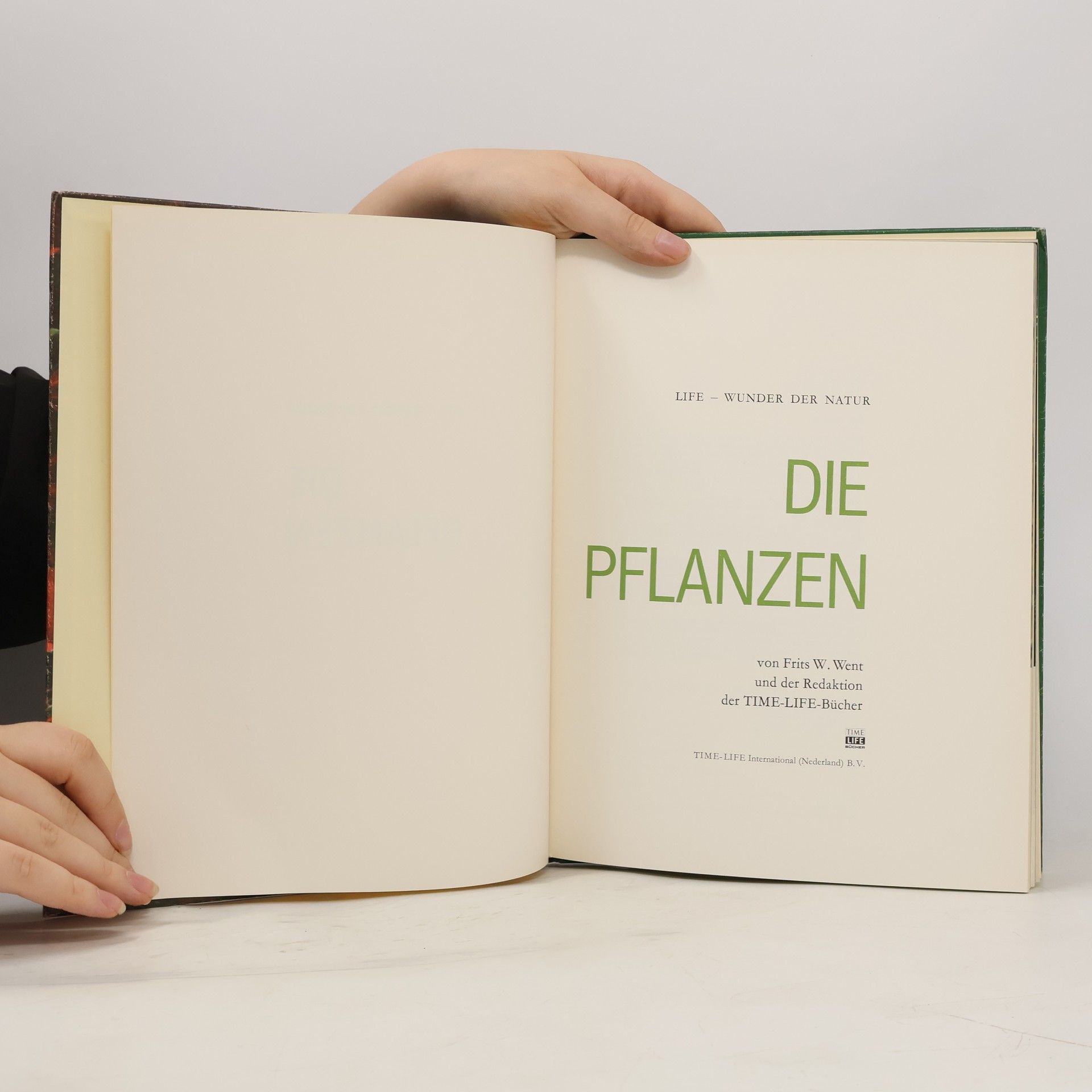Kolektiv autorů Die Pflanzen