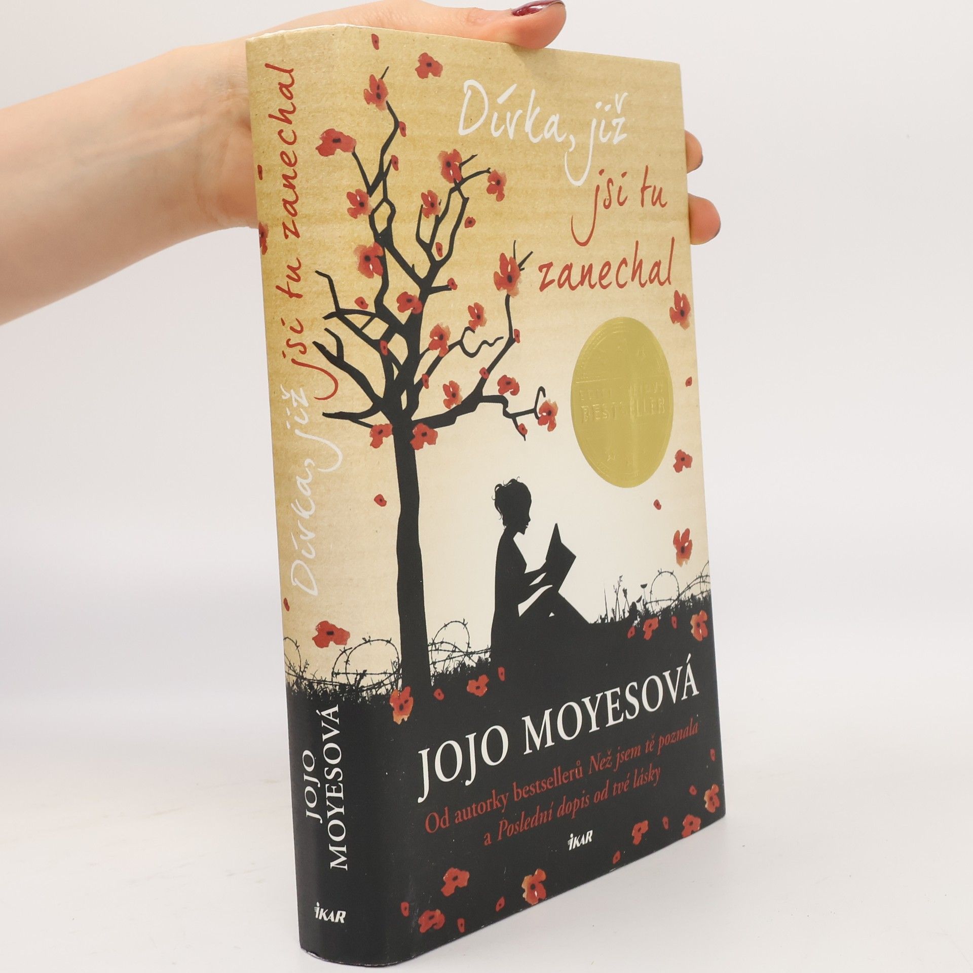 Jojo Moyes Dívka, již jsi tu zanechal