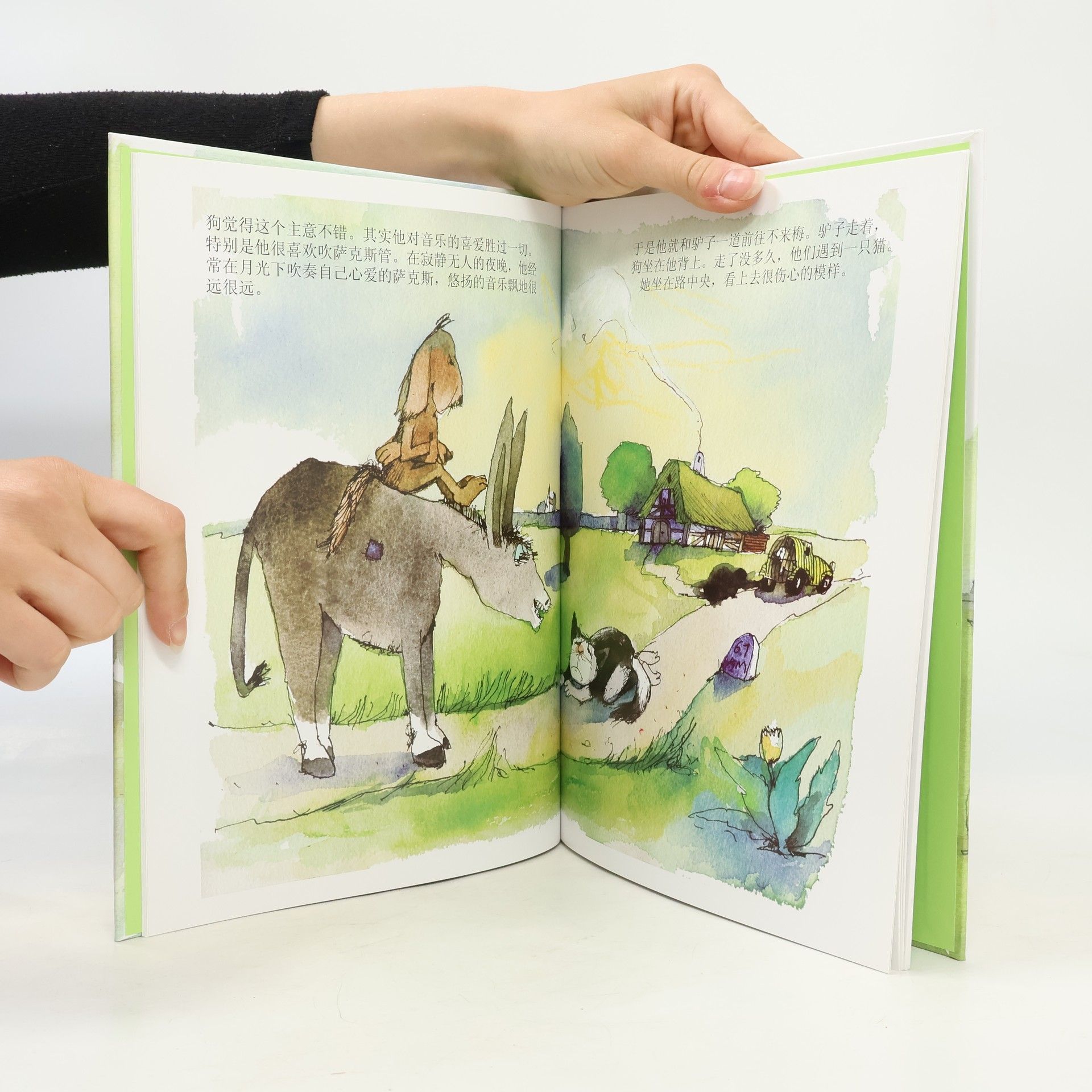 Janosch 不来梅的城市乐师 - Chinesische Ausgabe