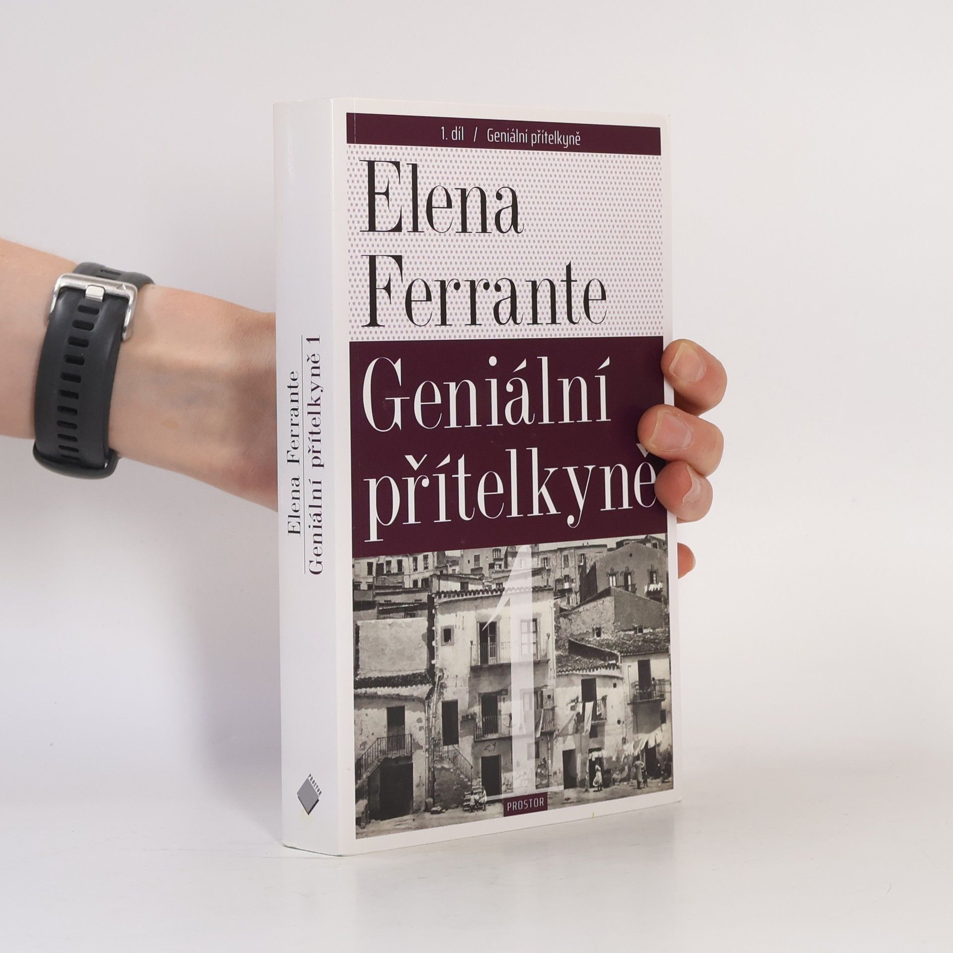 Elena Ferrante Geniální přítelkyně 1. Dětství a dospívání
