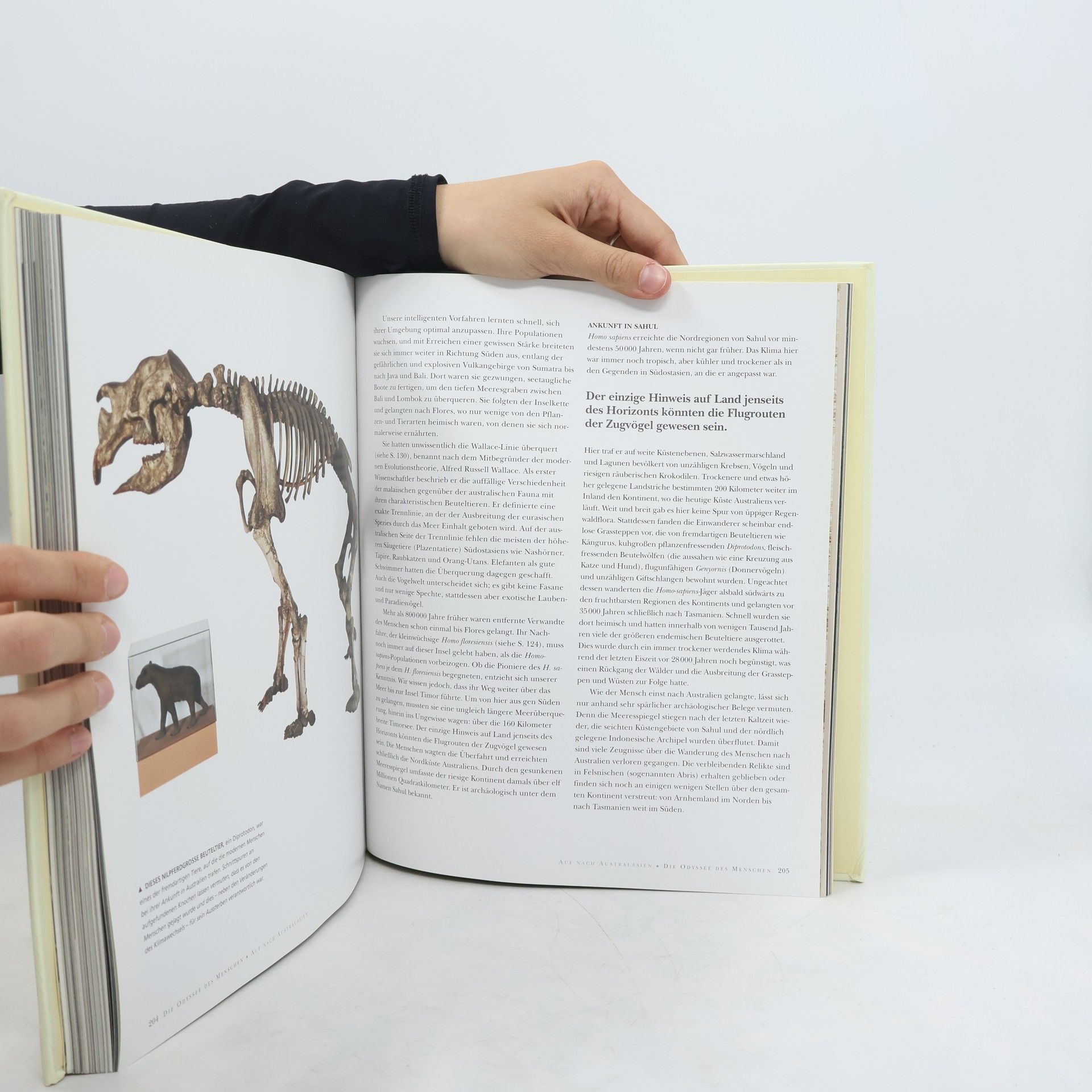 Kolektiv autorů Die Evolution des Menschen