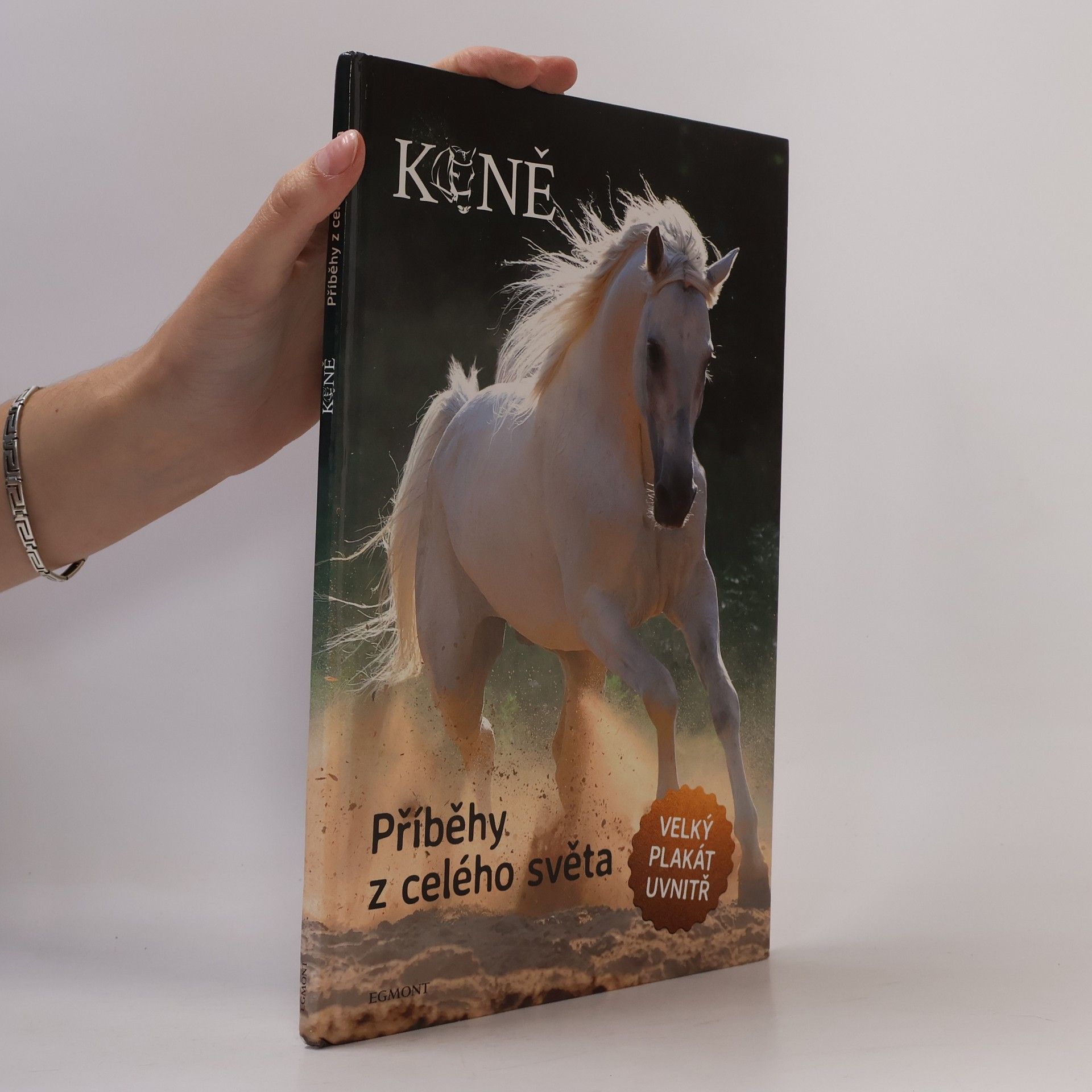 Collectif d'auteurs Koně : příběhy z celého světa