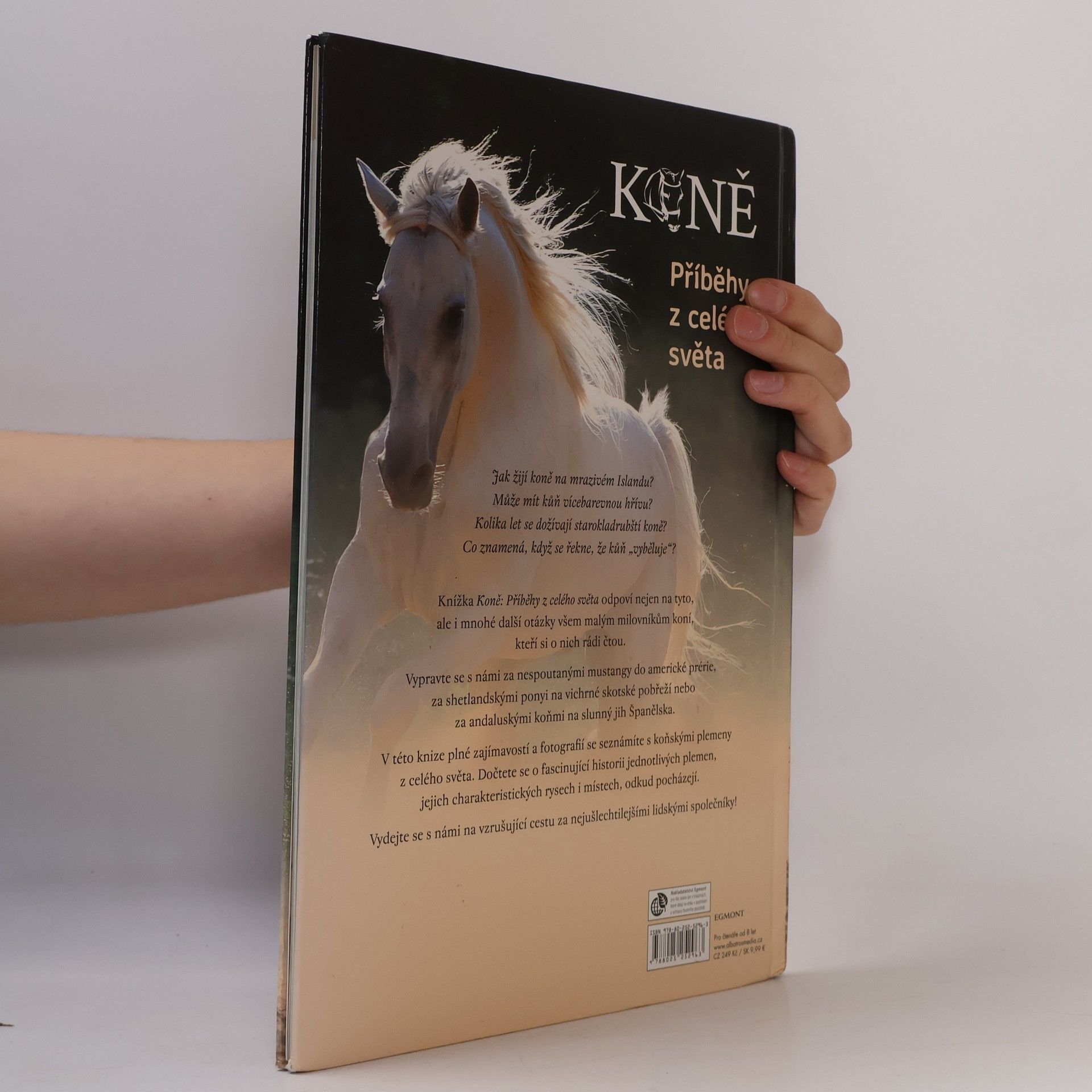 Autores varios Koně : příběhy z celého světa