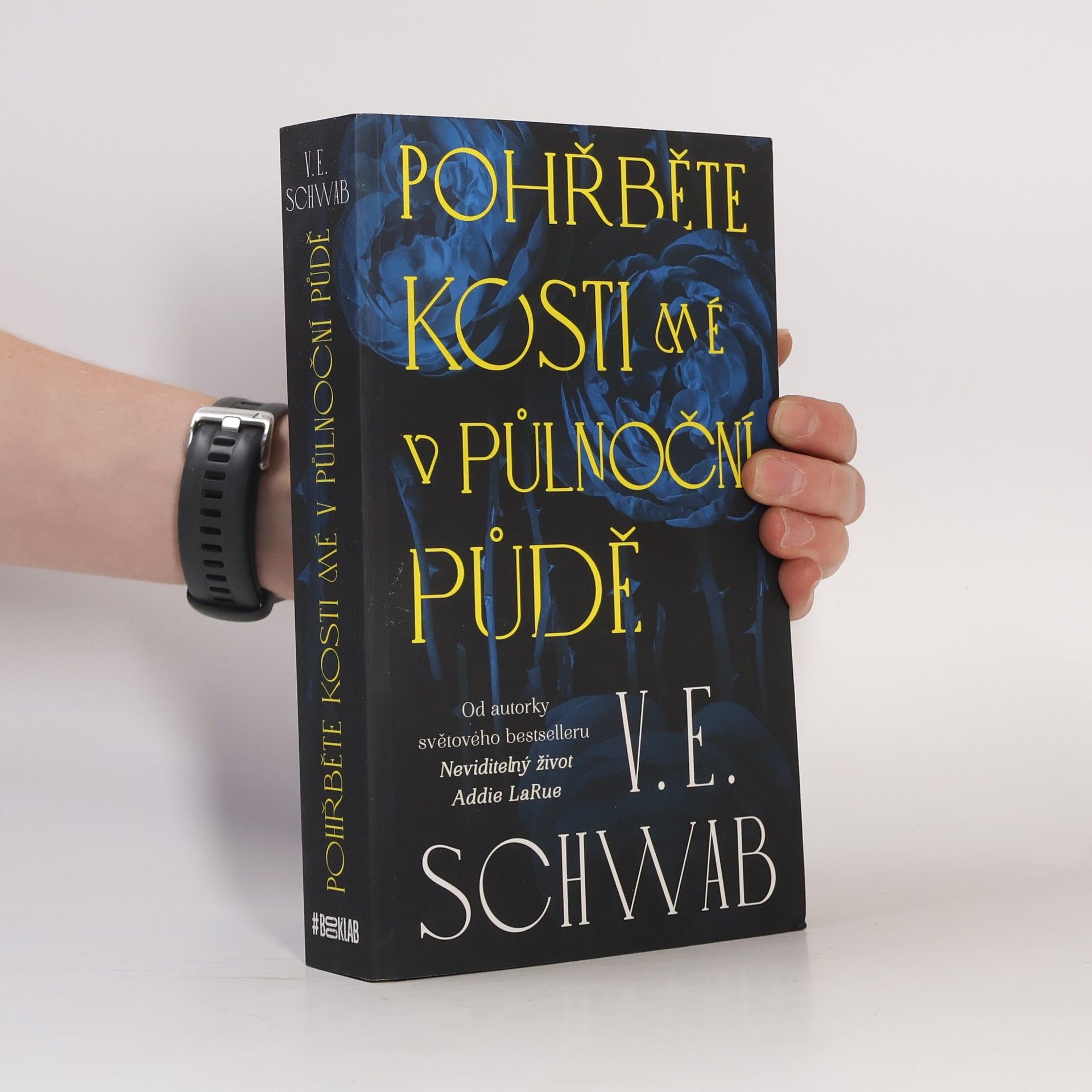 Victoria Schwabová Pohřběte kosti mé v půlnoční půdě