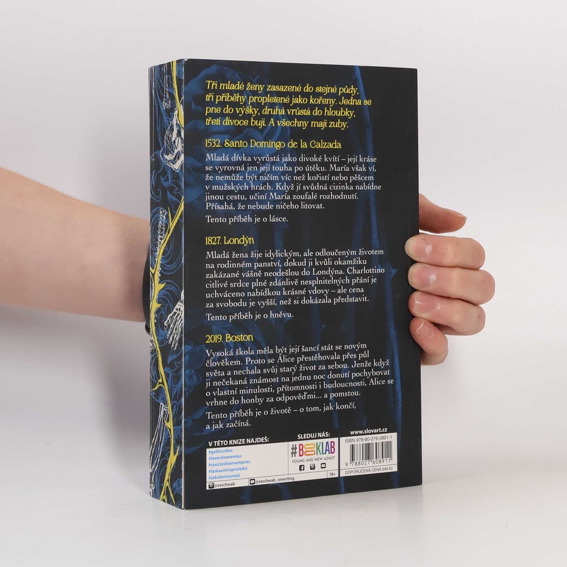 V. E. Schwab Pohřběte kosti mé v půlnoční půdě
