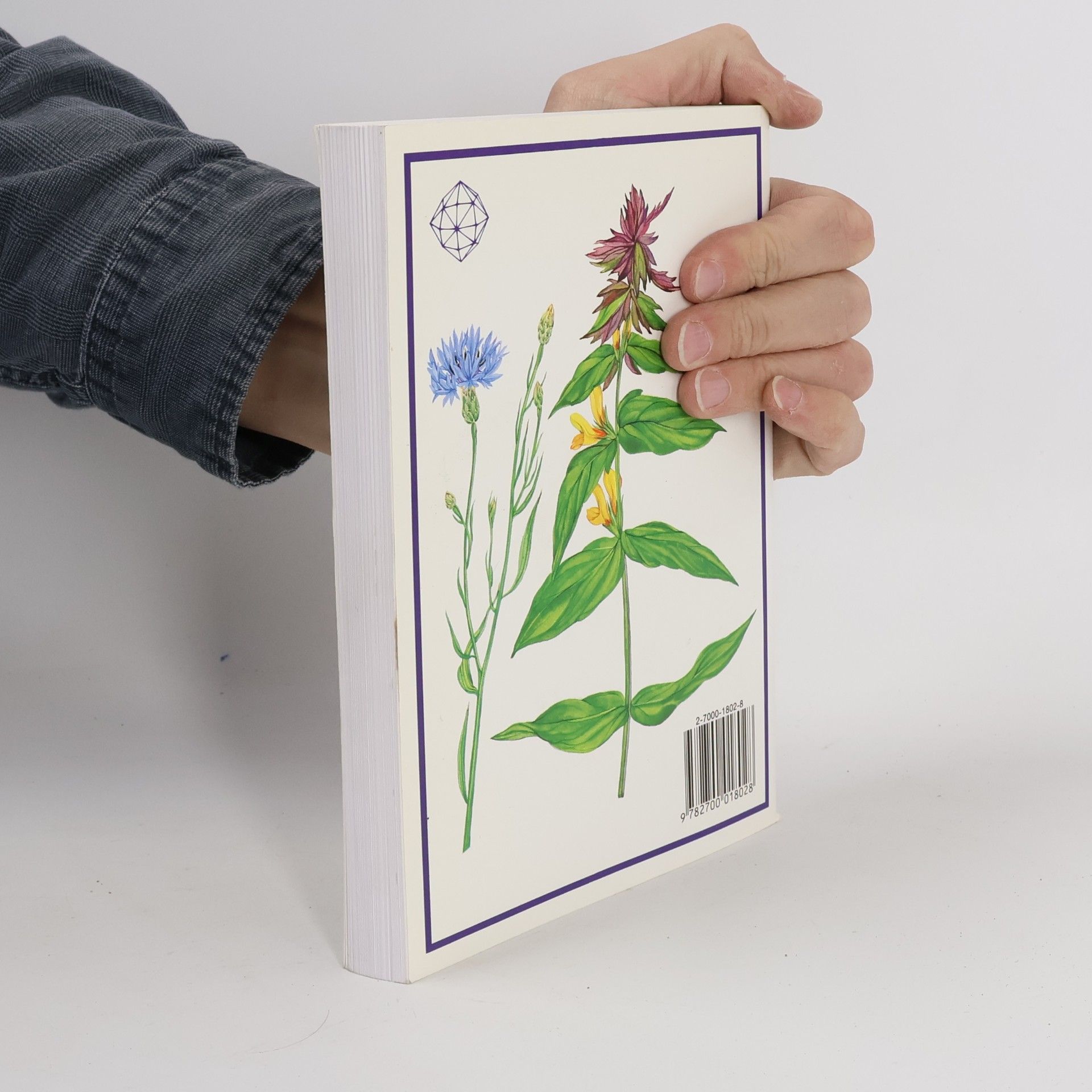 Daniela Toušová Plantes des champs et des forêts