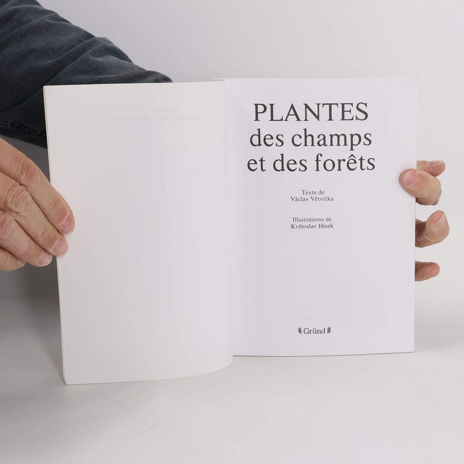 Daniela Toušová Plantes des champs et des forêts