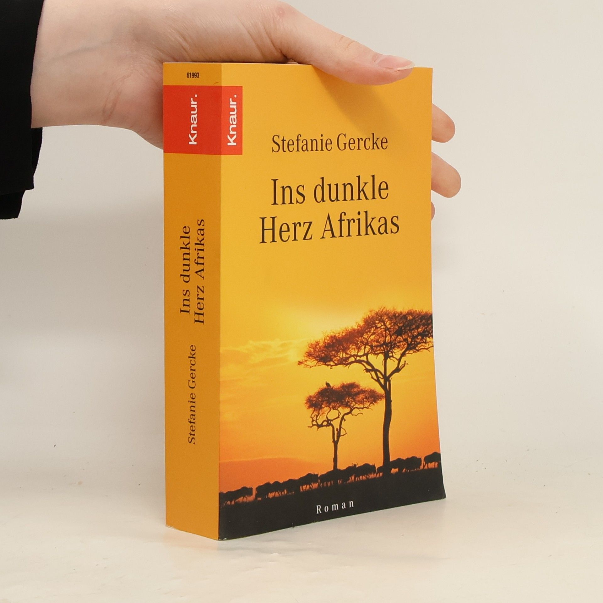 Stefanie Gercke Ins dunkle Herz Afrikas
