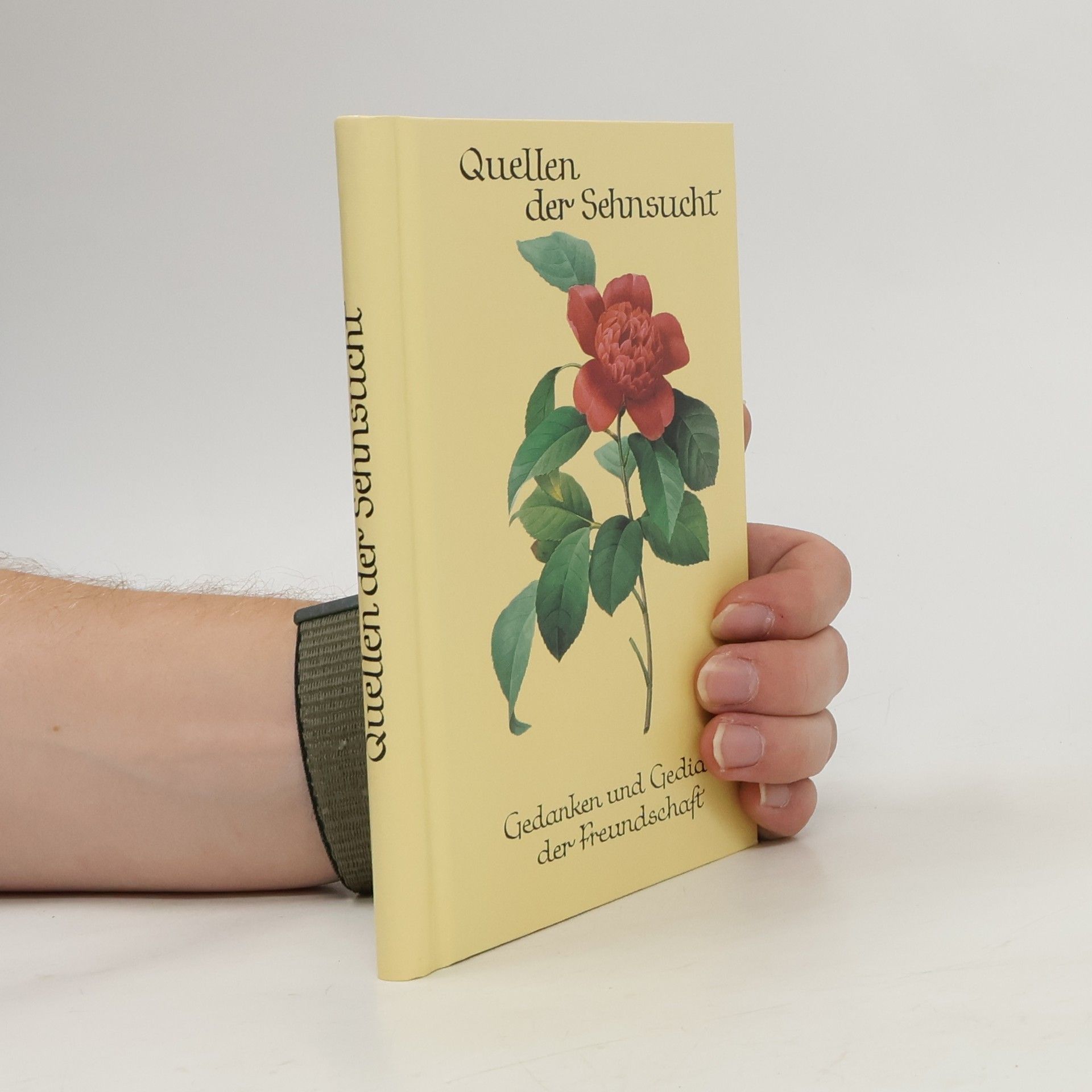 Autorenkollektiv Quellen der Sehnsucht