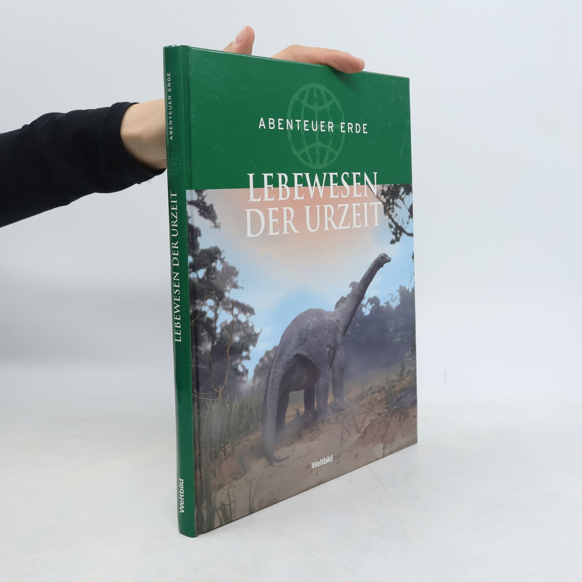 Autorenkollektiv Lebewesen der Urzeit