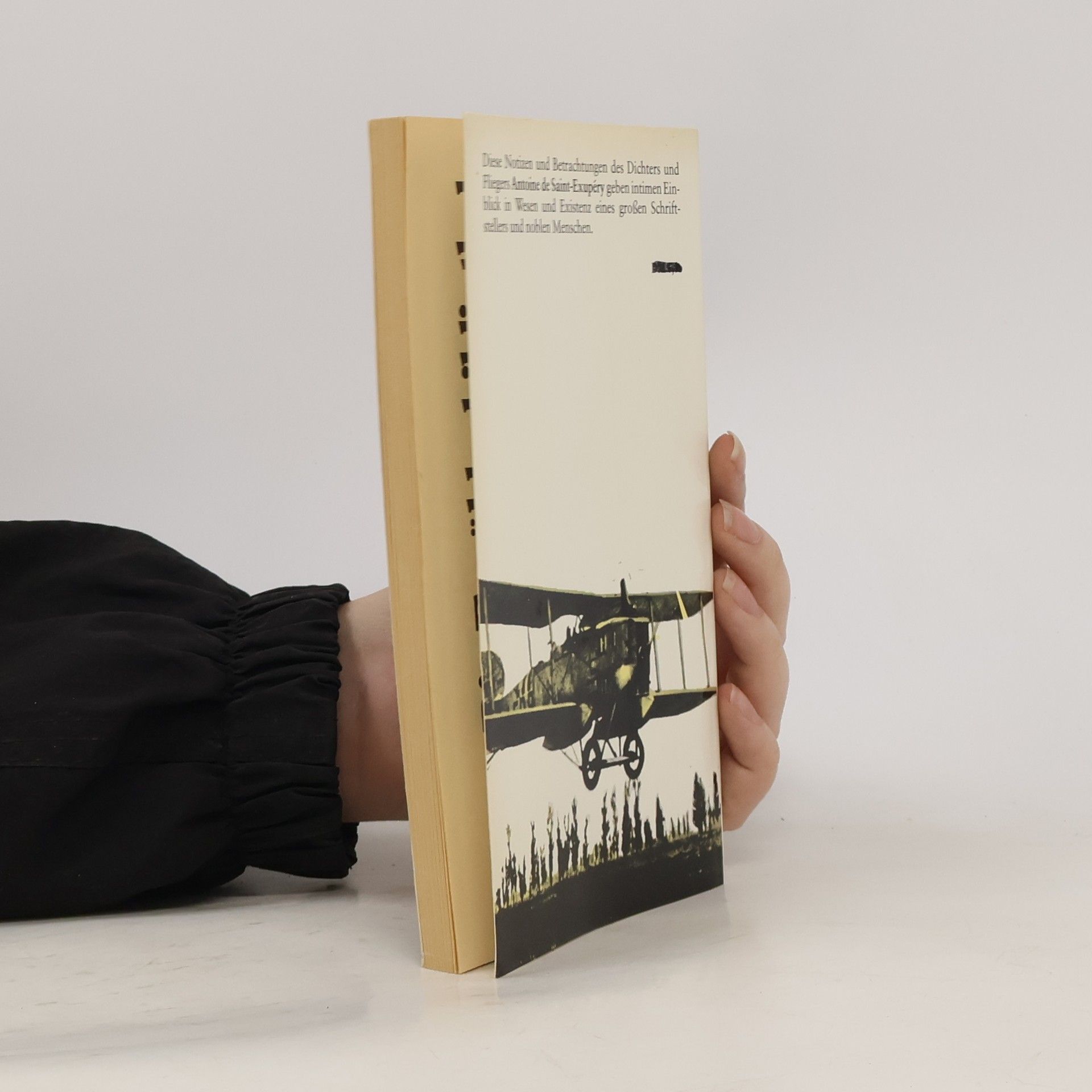 Antoine de Saint-Exupéry Carnets
