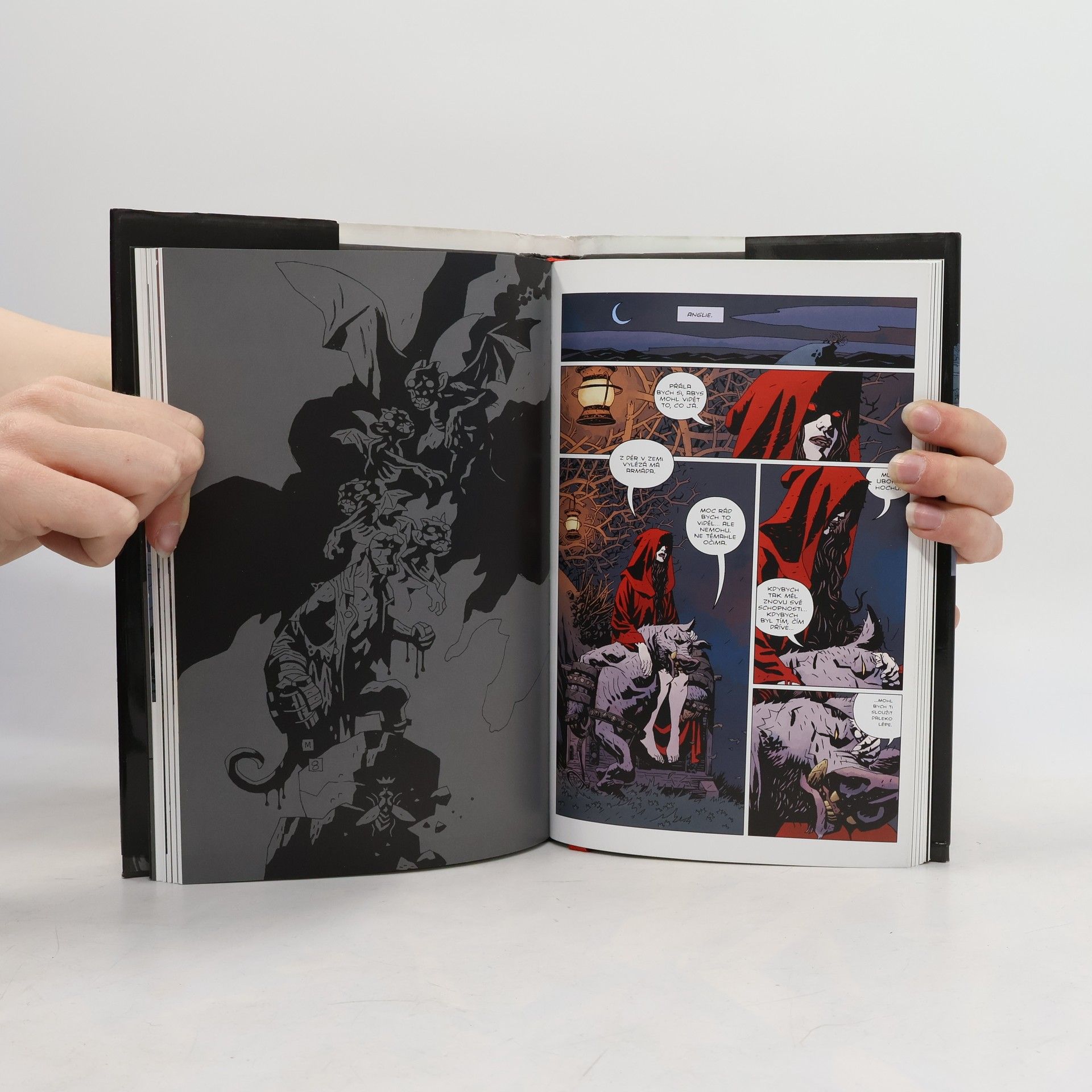 Mike Mignola Divoký hon
