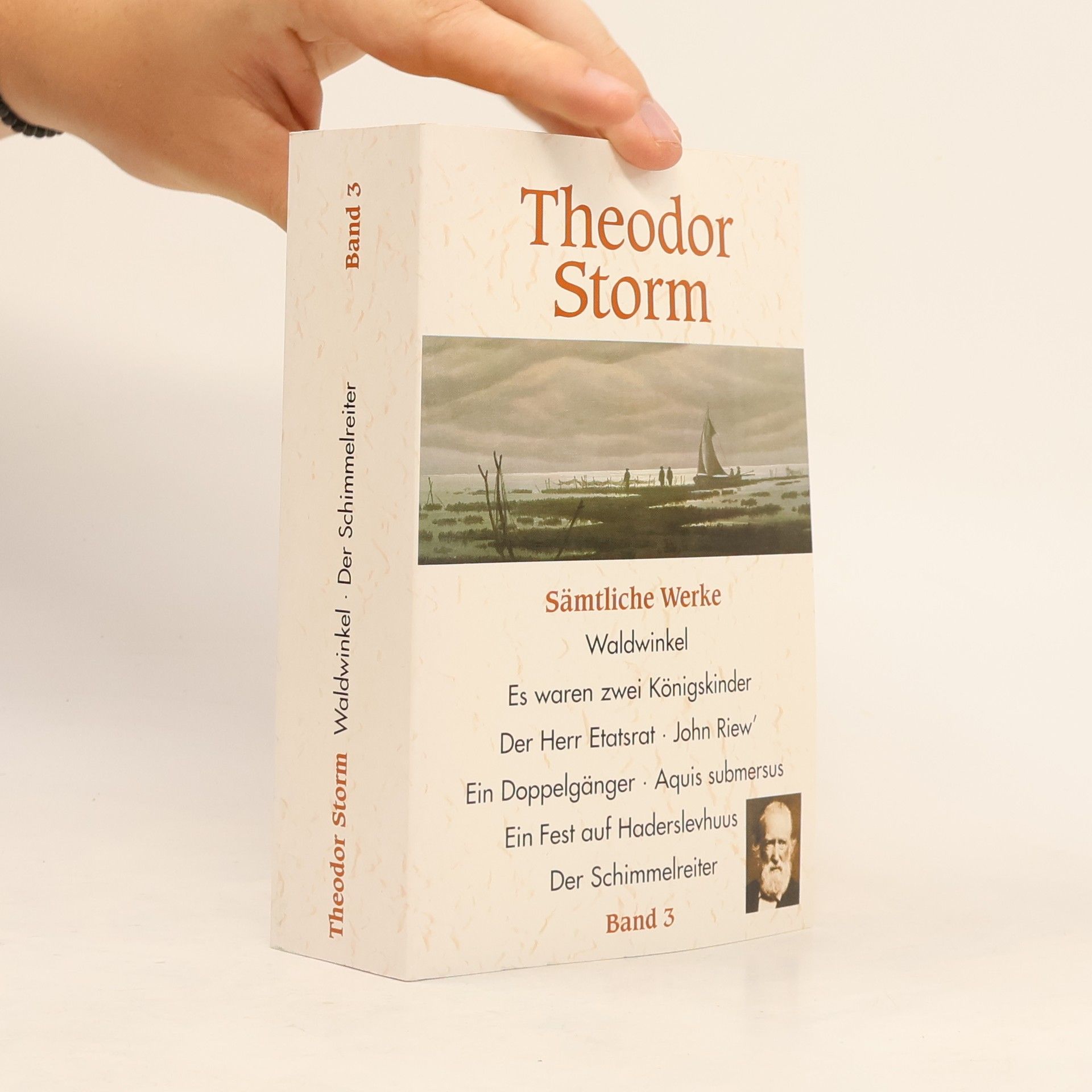 Theodor Storm Sämtliche Werke 3