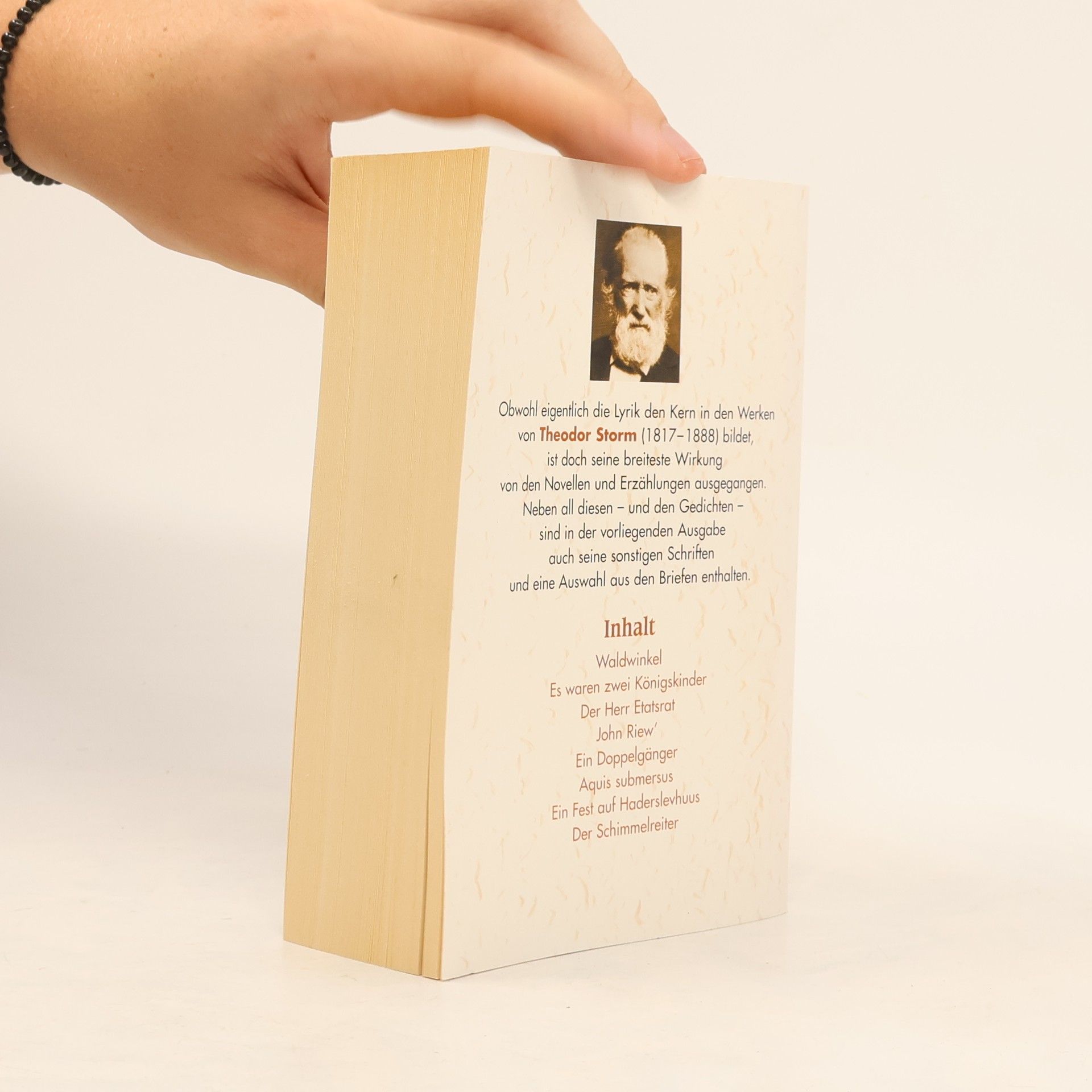 Theodor Storm Sämtliche Werke 3