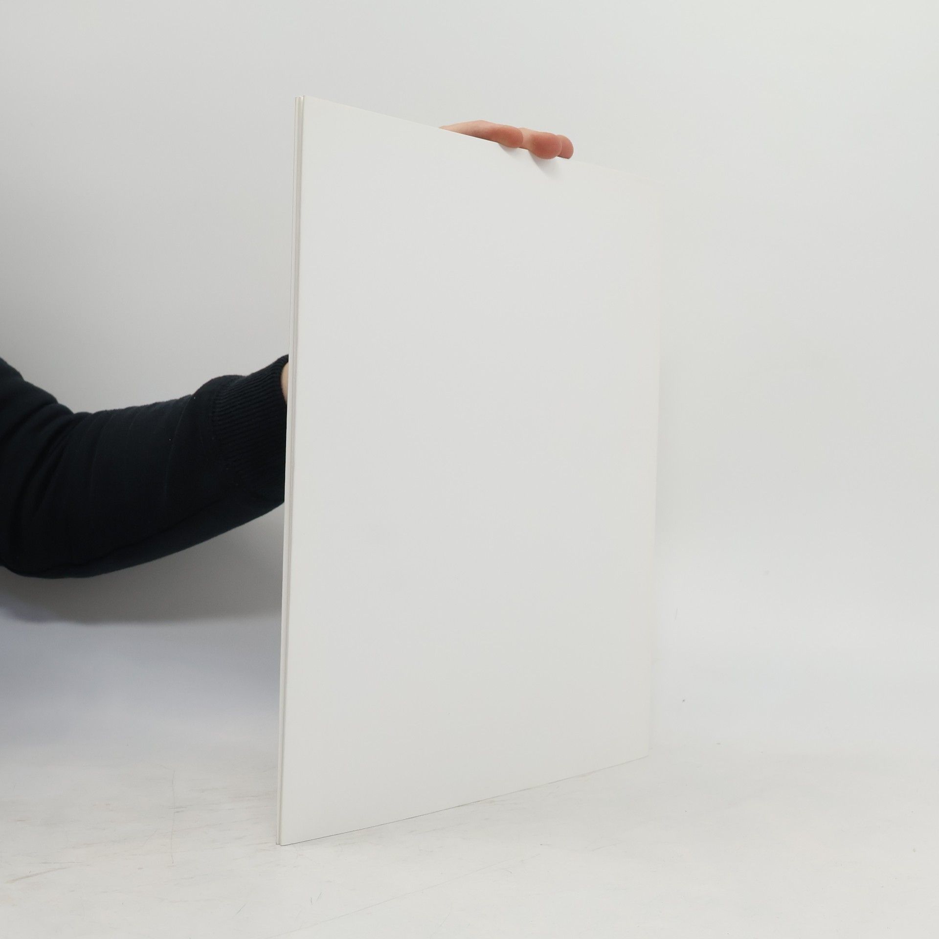 Autorenkollektiv Waldemar Otto. Entwürfe für ein Denkmal 2009