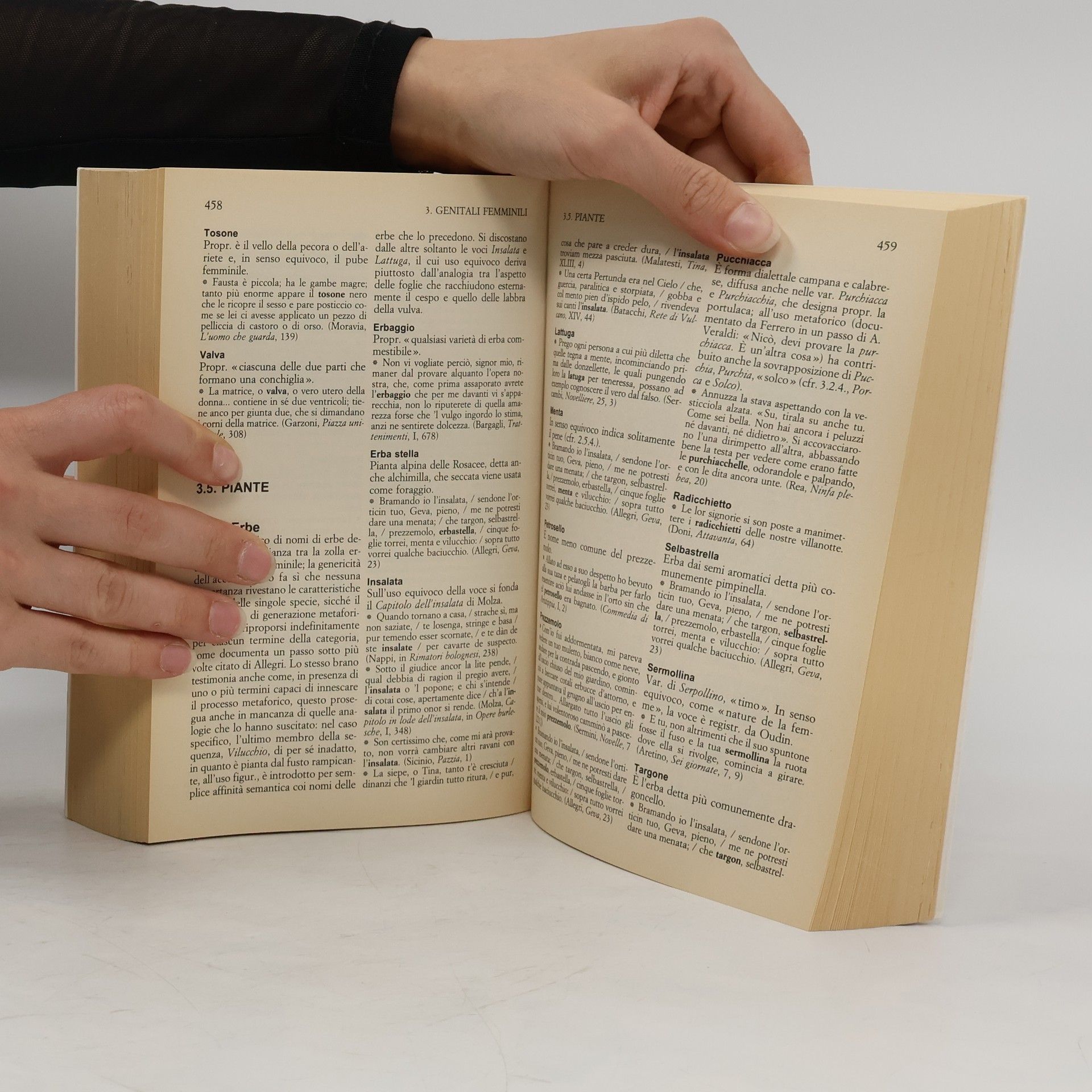 Valter Boggione I grandi libri - 170: Dizionario storico del lessico erotico italiano