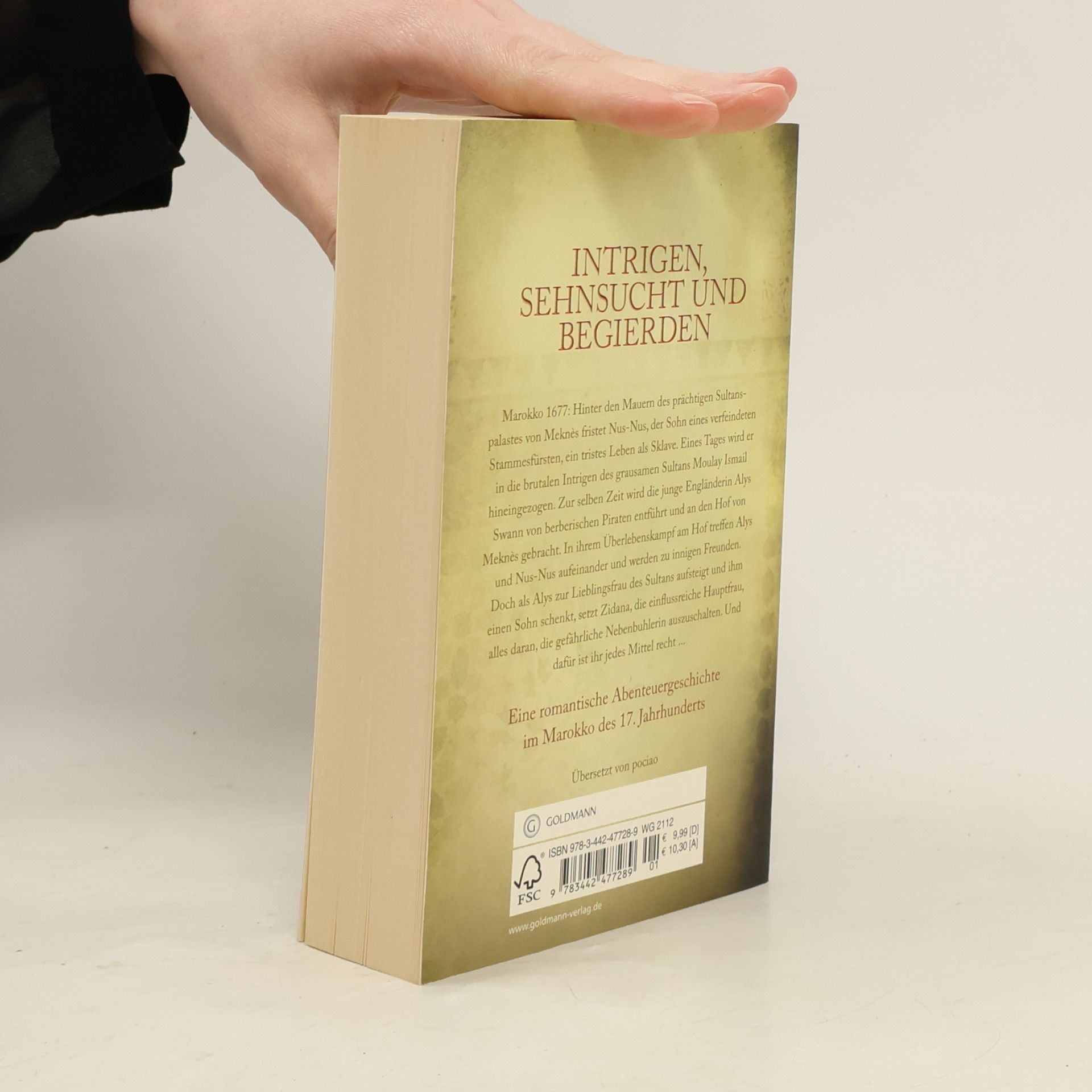 Jude Fisher Die Sklavin des Sultans