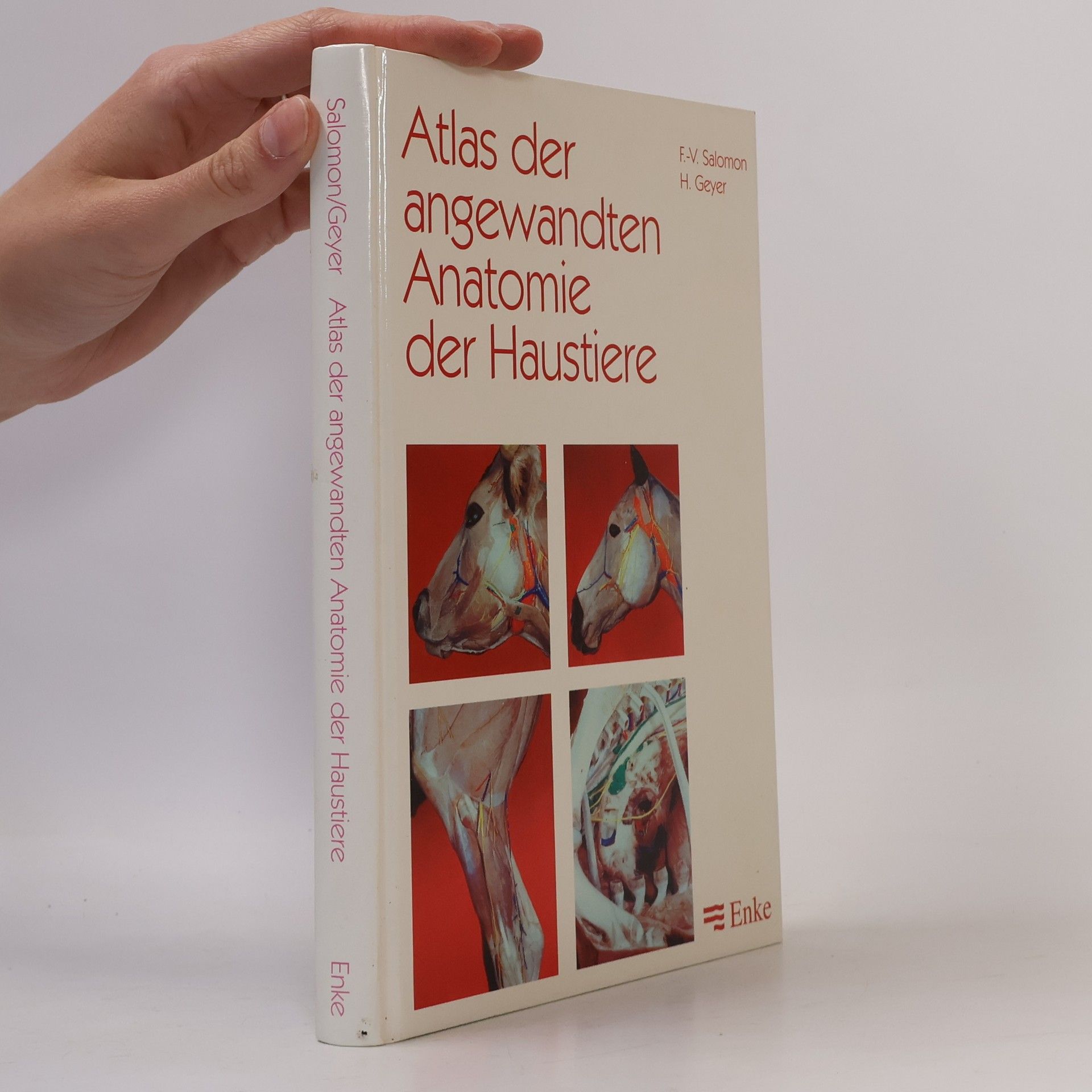 Franz Viktor Salomon Atlas der angewandten Anatomie der Haustiere
