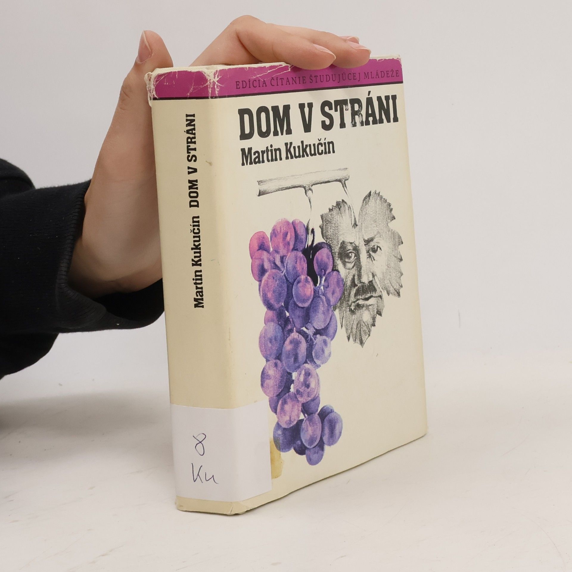 Martin Kukučín Dom v stráni