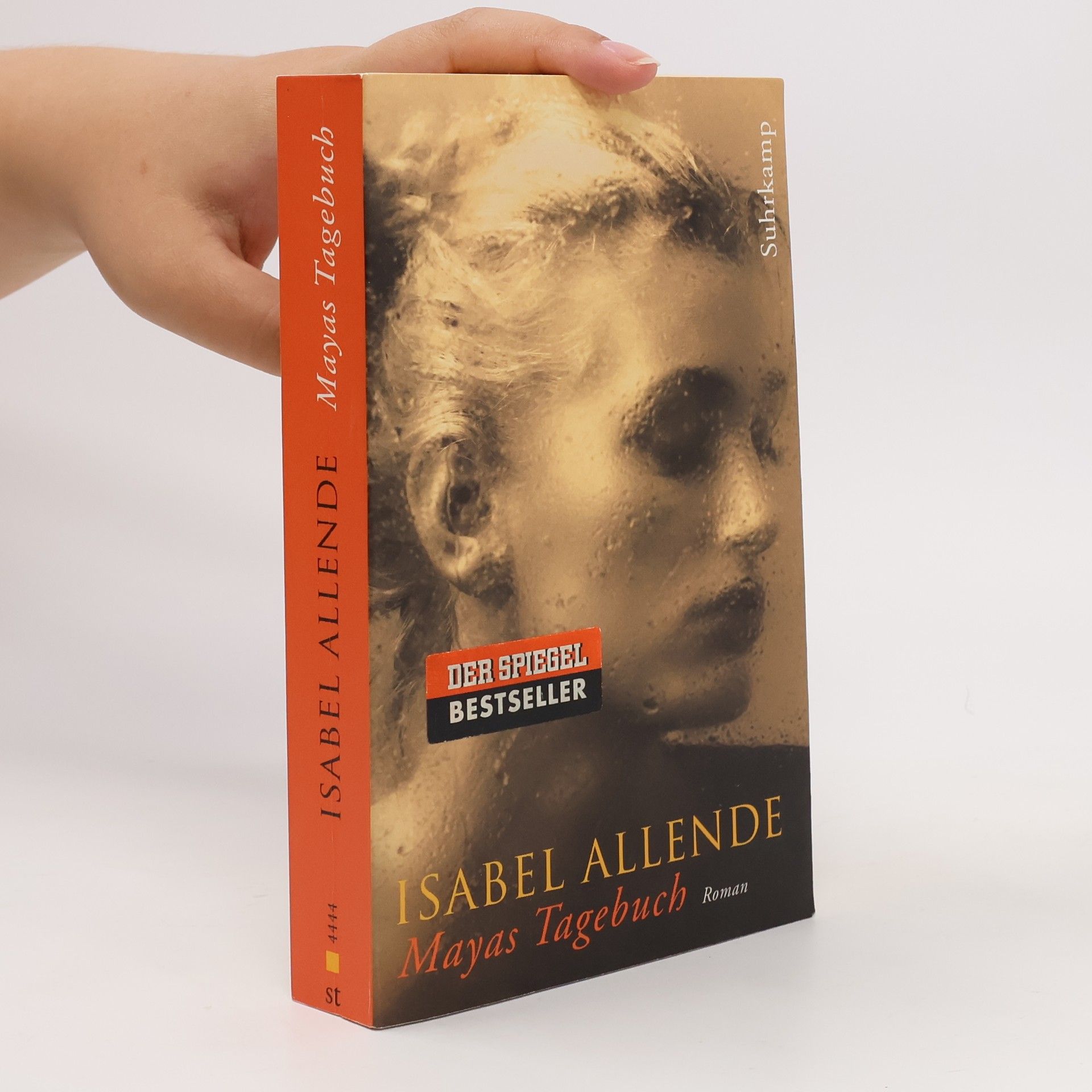 Isabel Allende Mayas Tagebuch