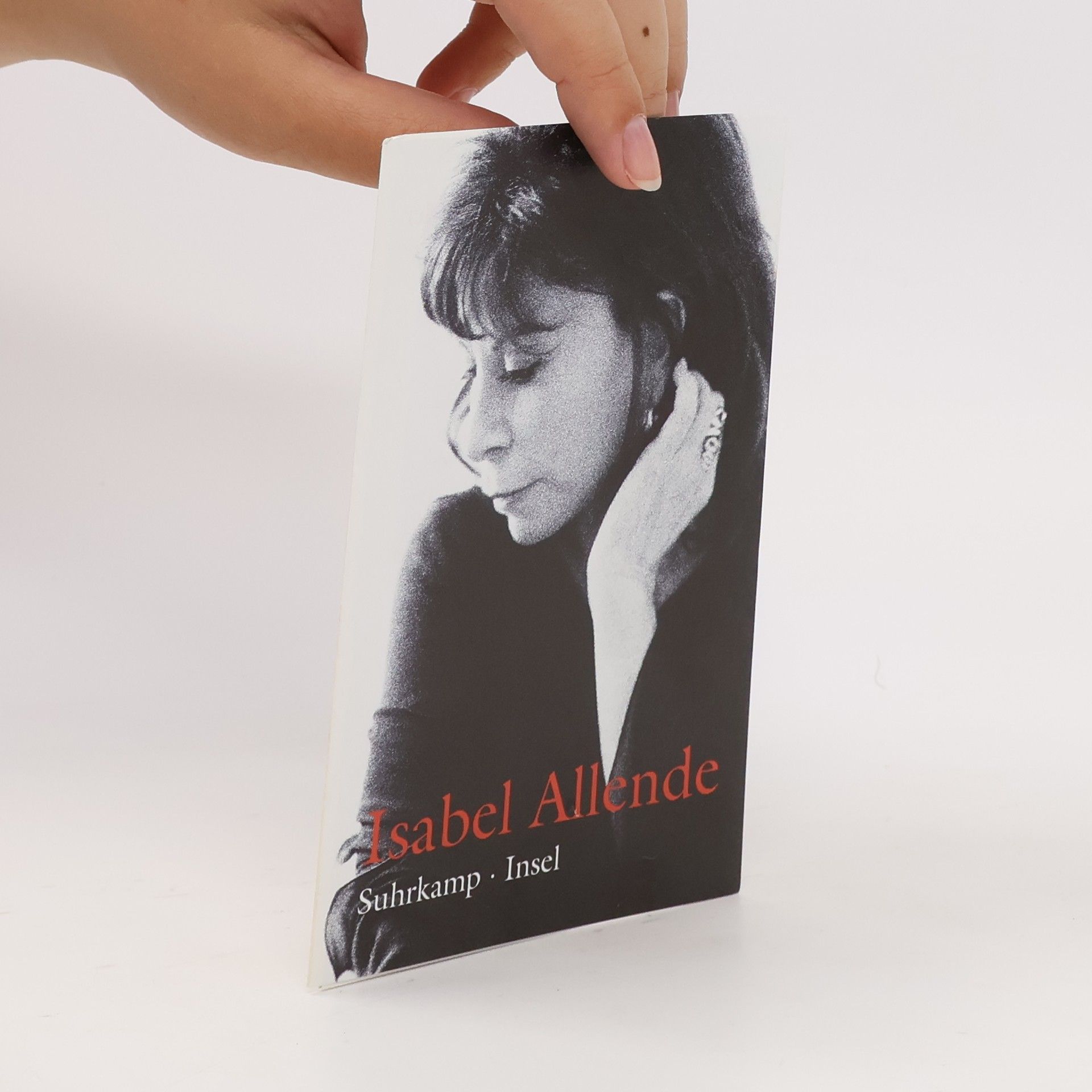 Isabel Allende Mayas Tagebuch