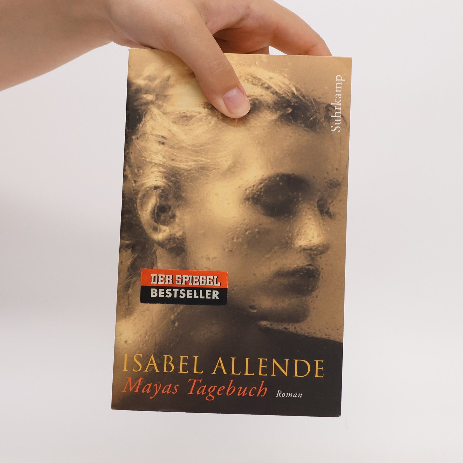 Isabel Allende Mayas Tagebuch