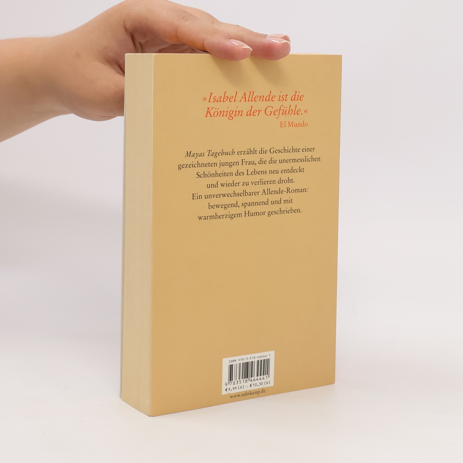 Isabel Allende Mayas Tagebuch