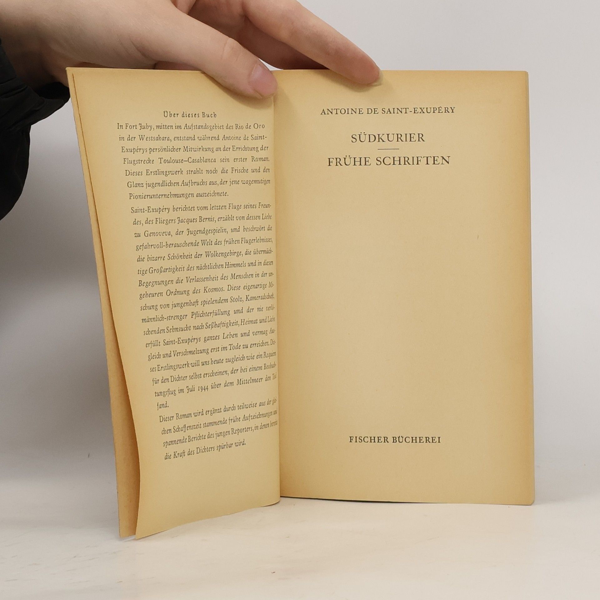 Antoine de Saint-Exupéry Südkurier. Frühe Schriften