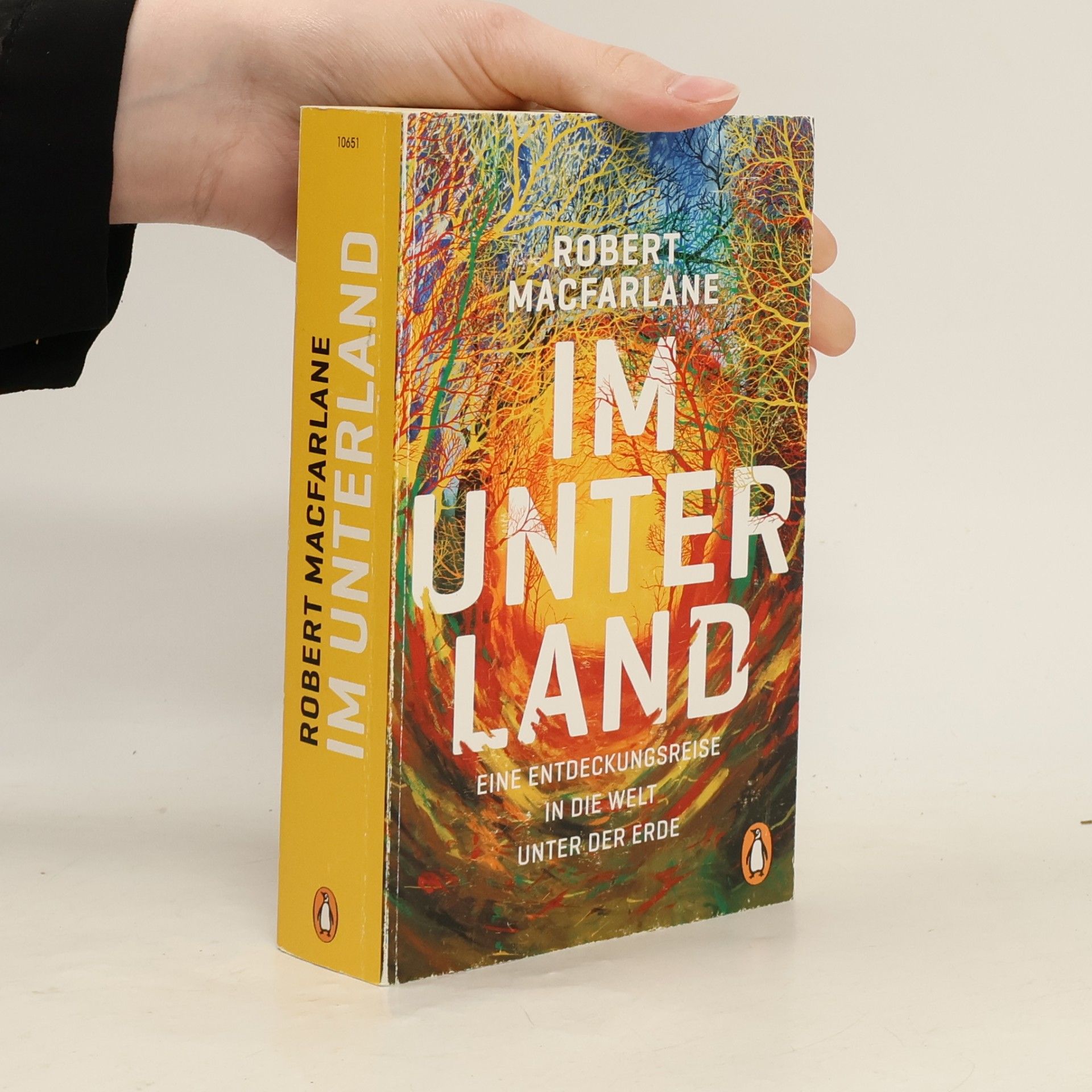 Robert Macfarlane Im Unterland