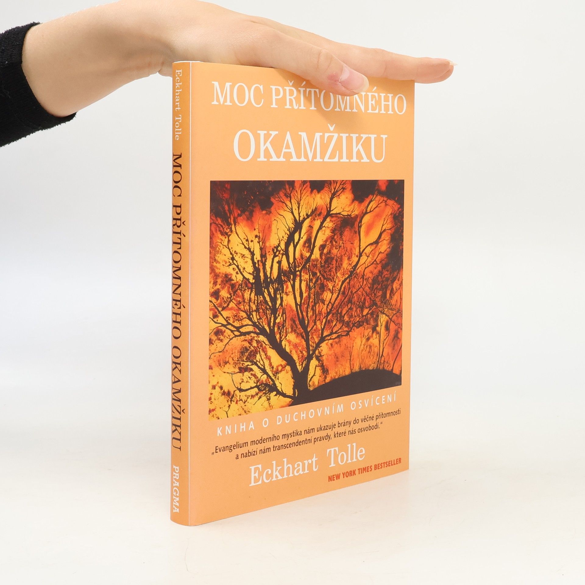 Eckhart Tolle Moc přítomného okamžiku