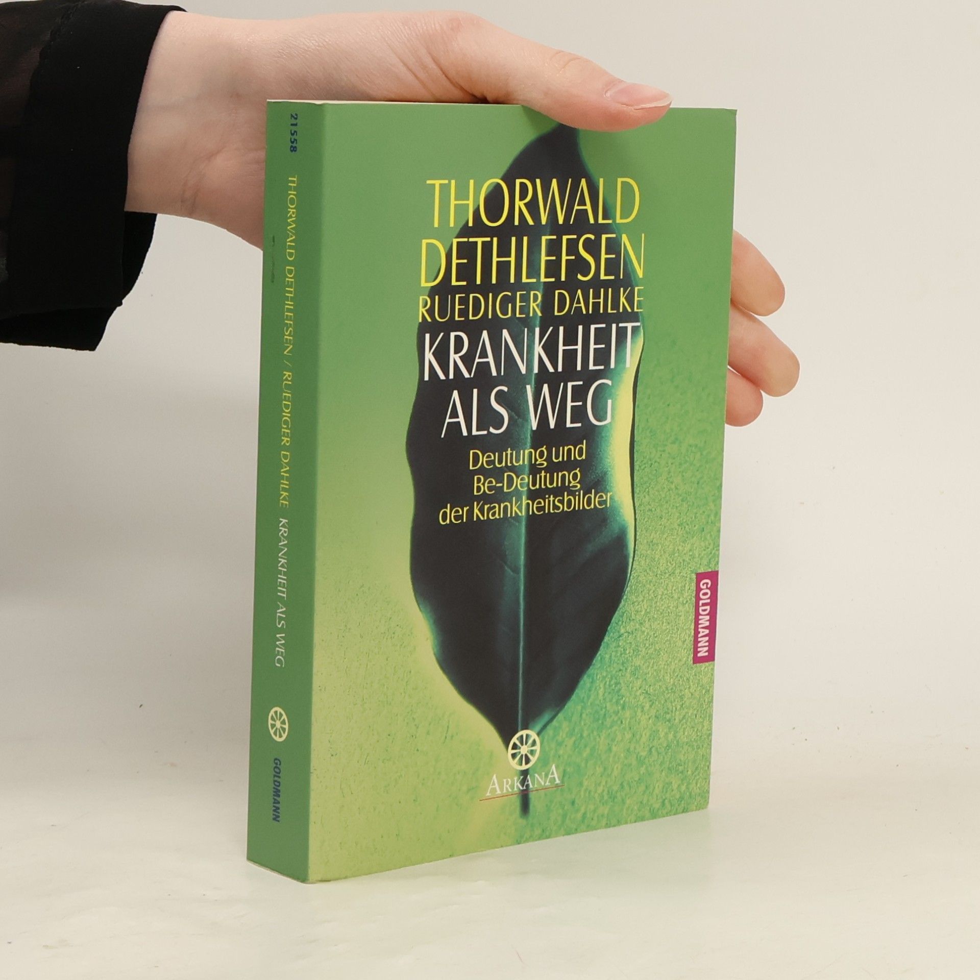 Thorwald Dethlefsen Krankheit als Weg