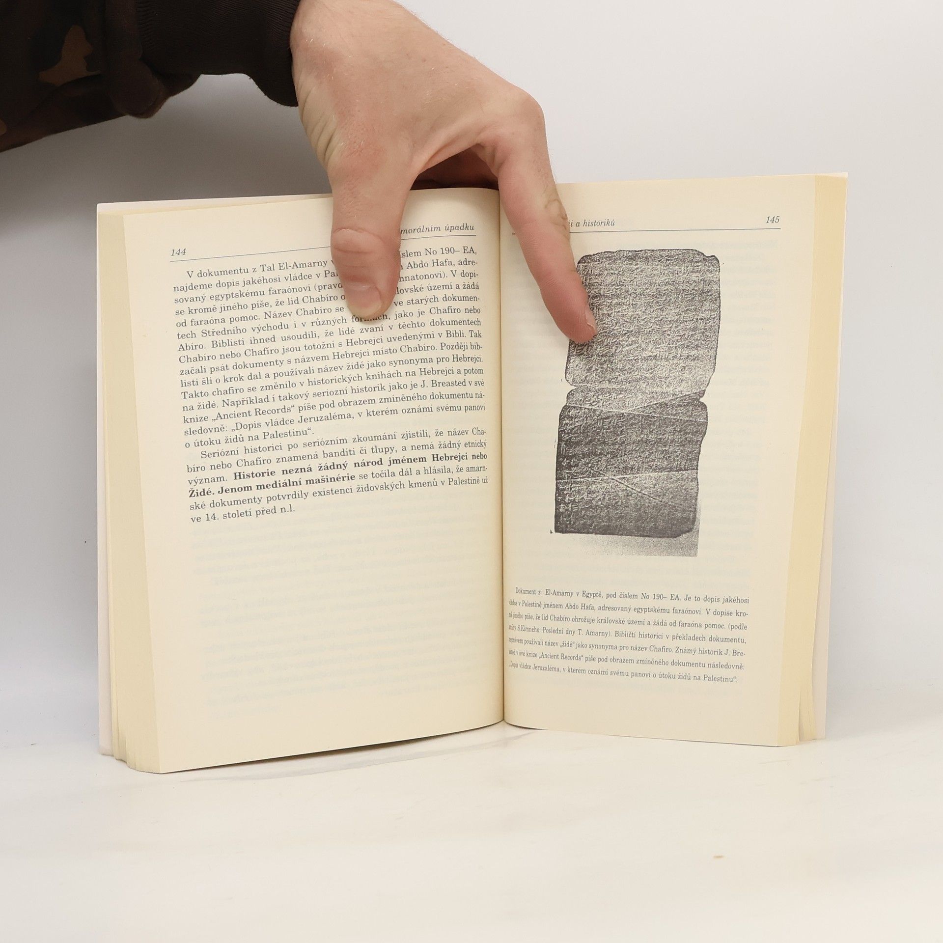 Nidal Saleh Svědectví o morálním úpadku - Falšovatelé historie