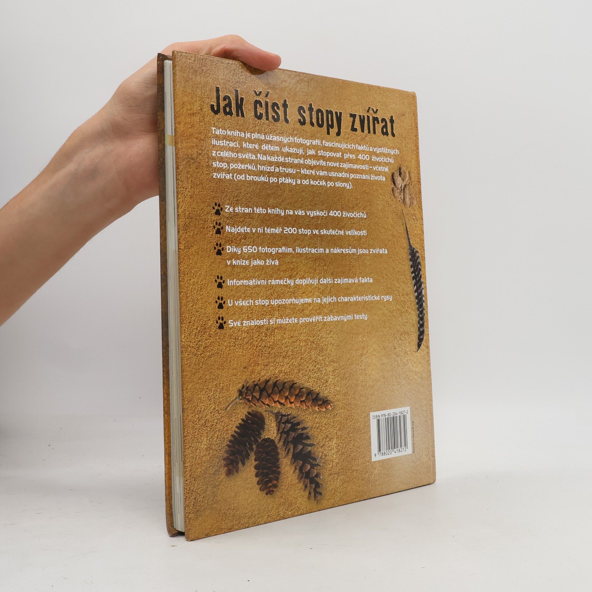 Jinny Johnson Jak číst stopy zvířat