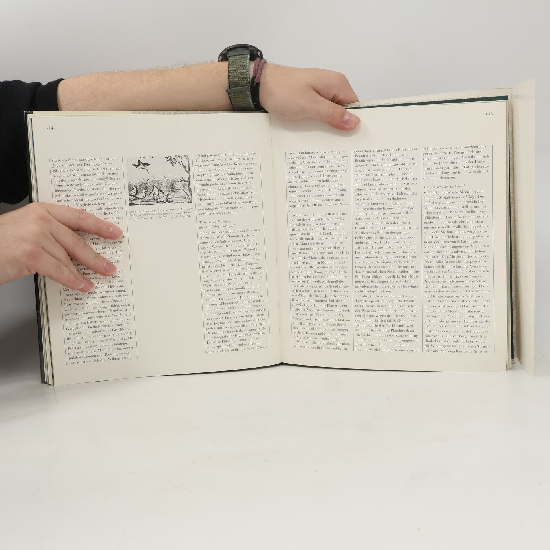 Harold Lange Tierfotografie