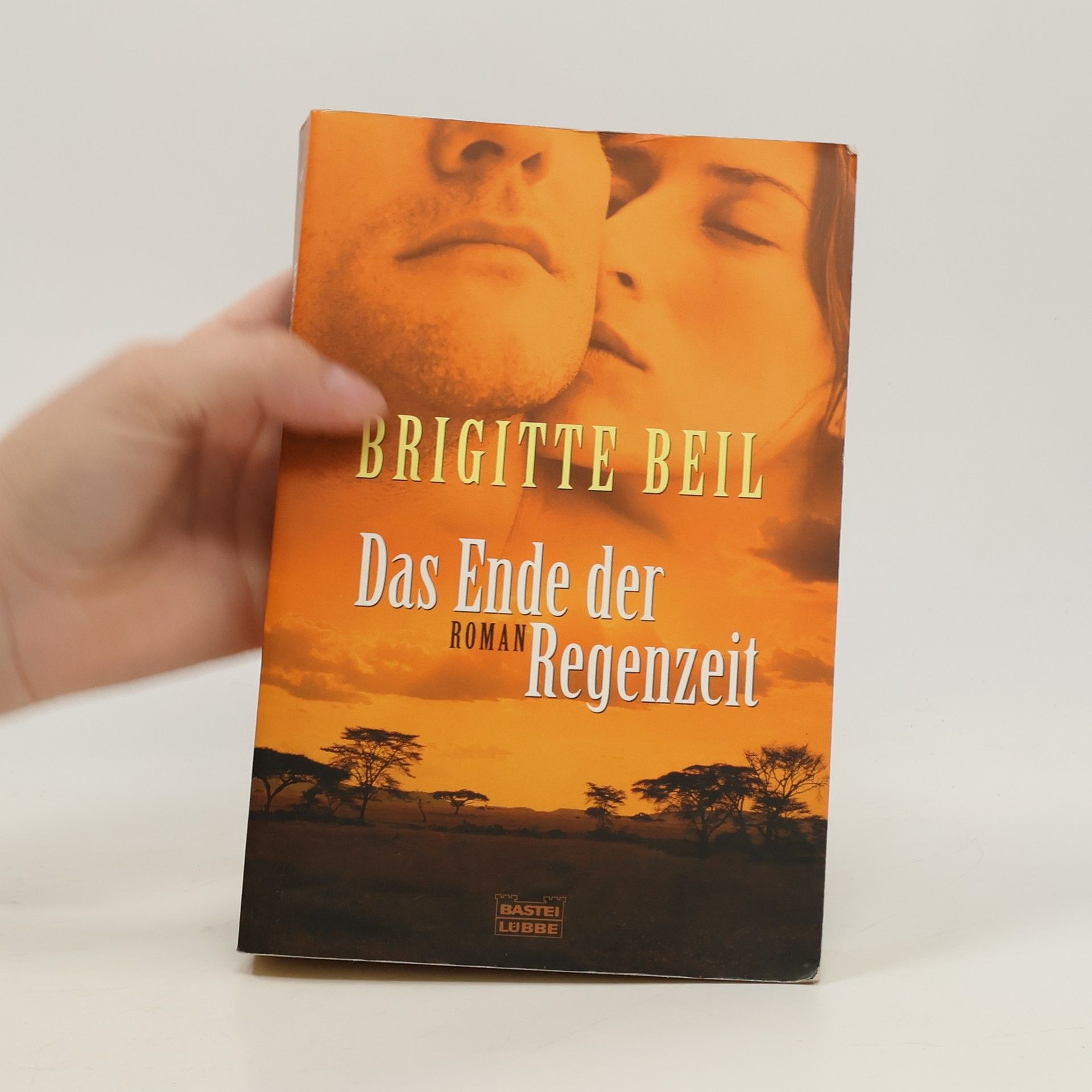 Brigitte Beil Das Ende der Regenzeit