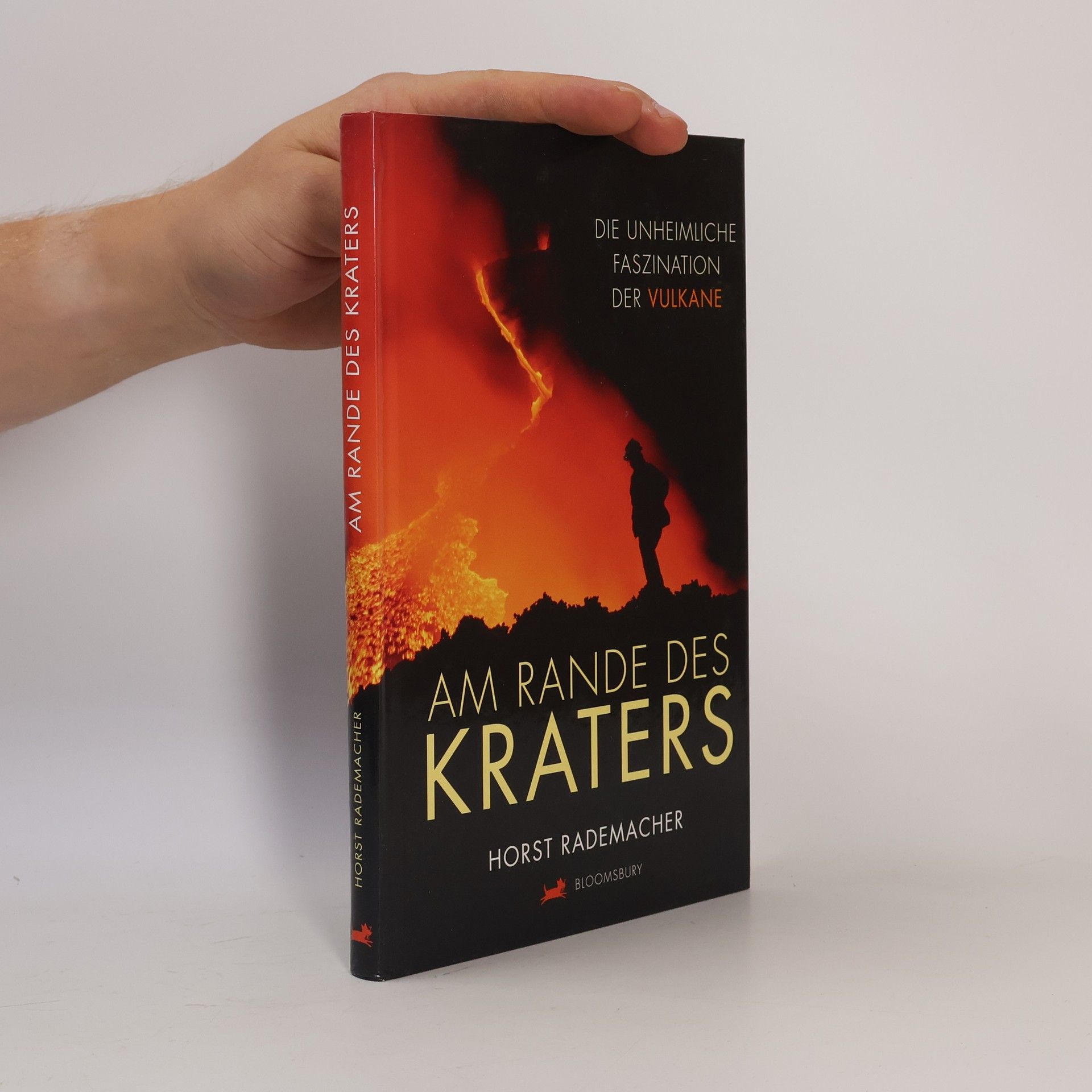 Horst Rademacher Am Rande des Kraters