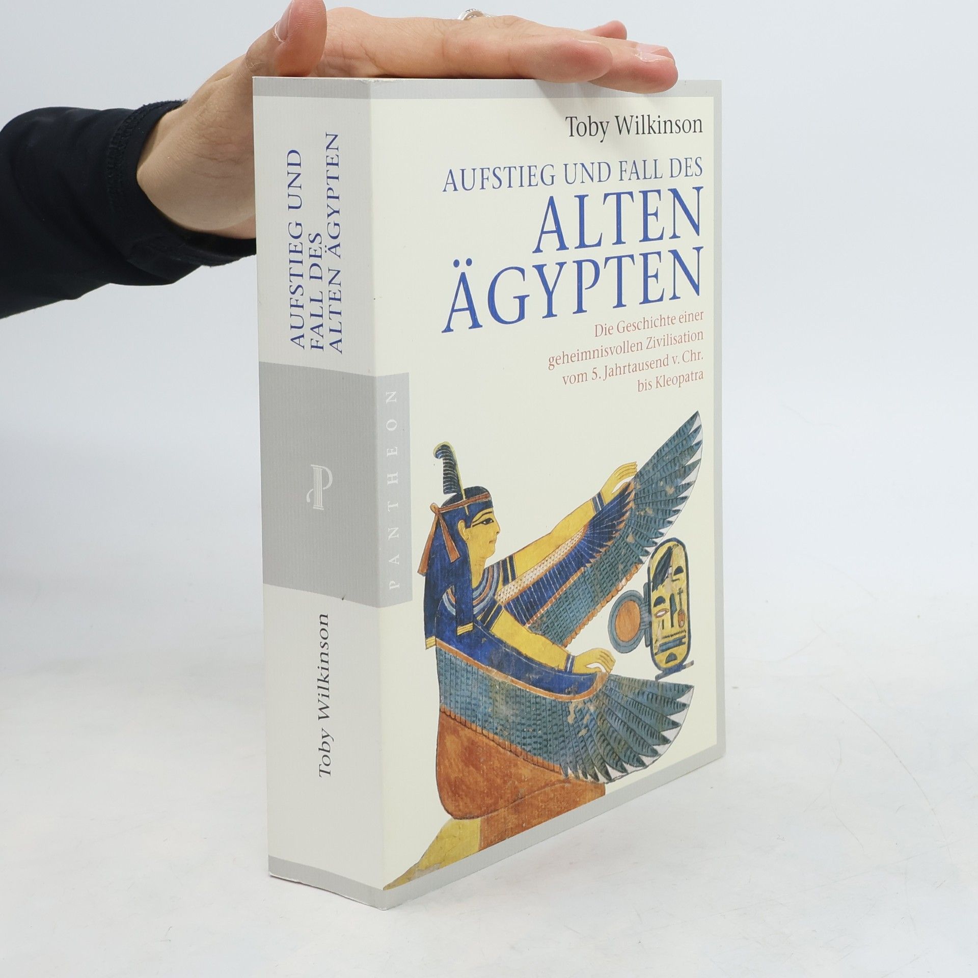 Toby A. H. Wilkinson Aufstieg und Fall des alten Ägypten