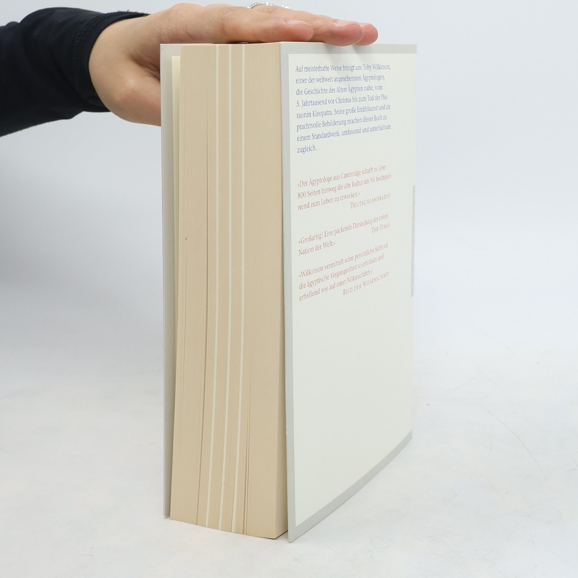 Toby Wilkinson Aufstieg und Fall des alten Ägypten