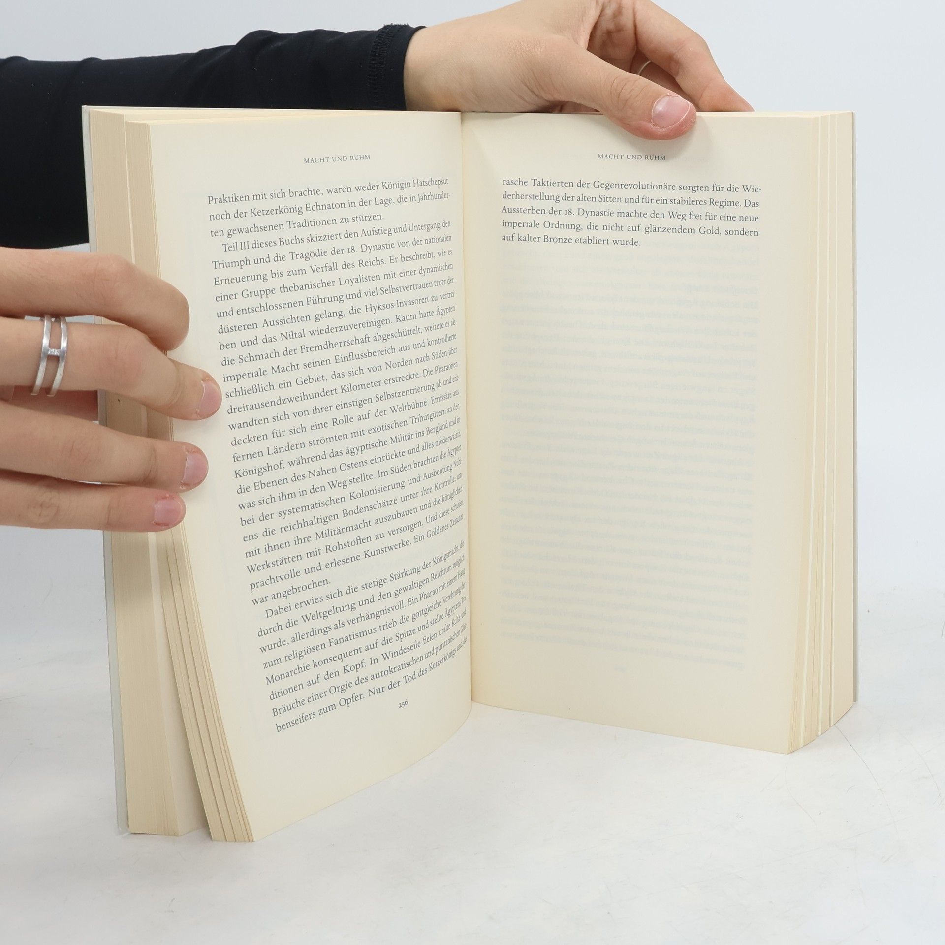 Toby Wilkinson Aufstieg und Fall des alten Ägypten