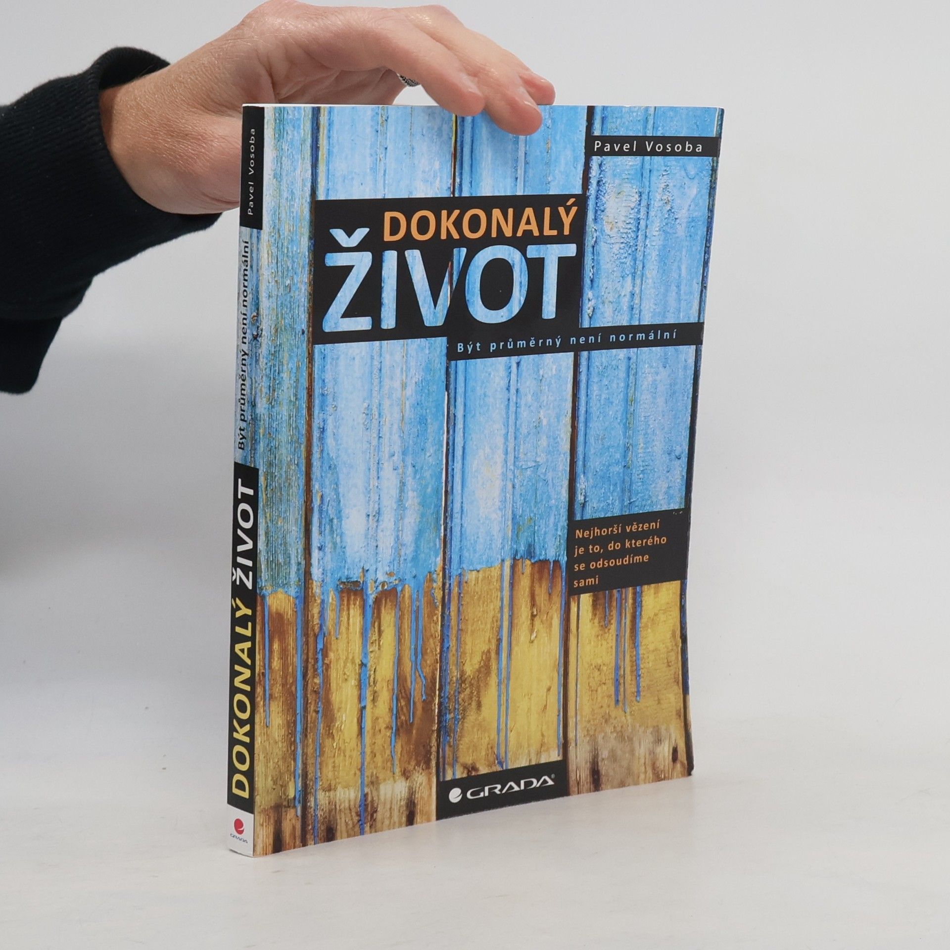 Pavel Vosoba Dokonalý život : být průměrný není normální