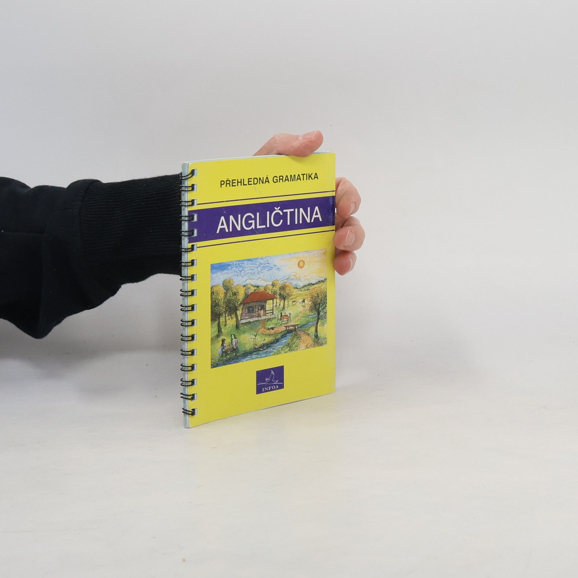 Gary Grabbe Angličtina. Přehledná gramatika