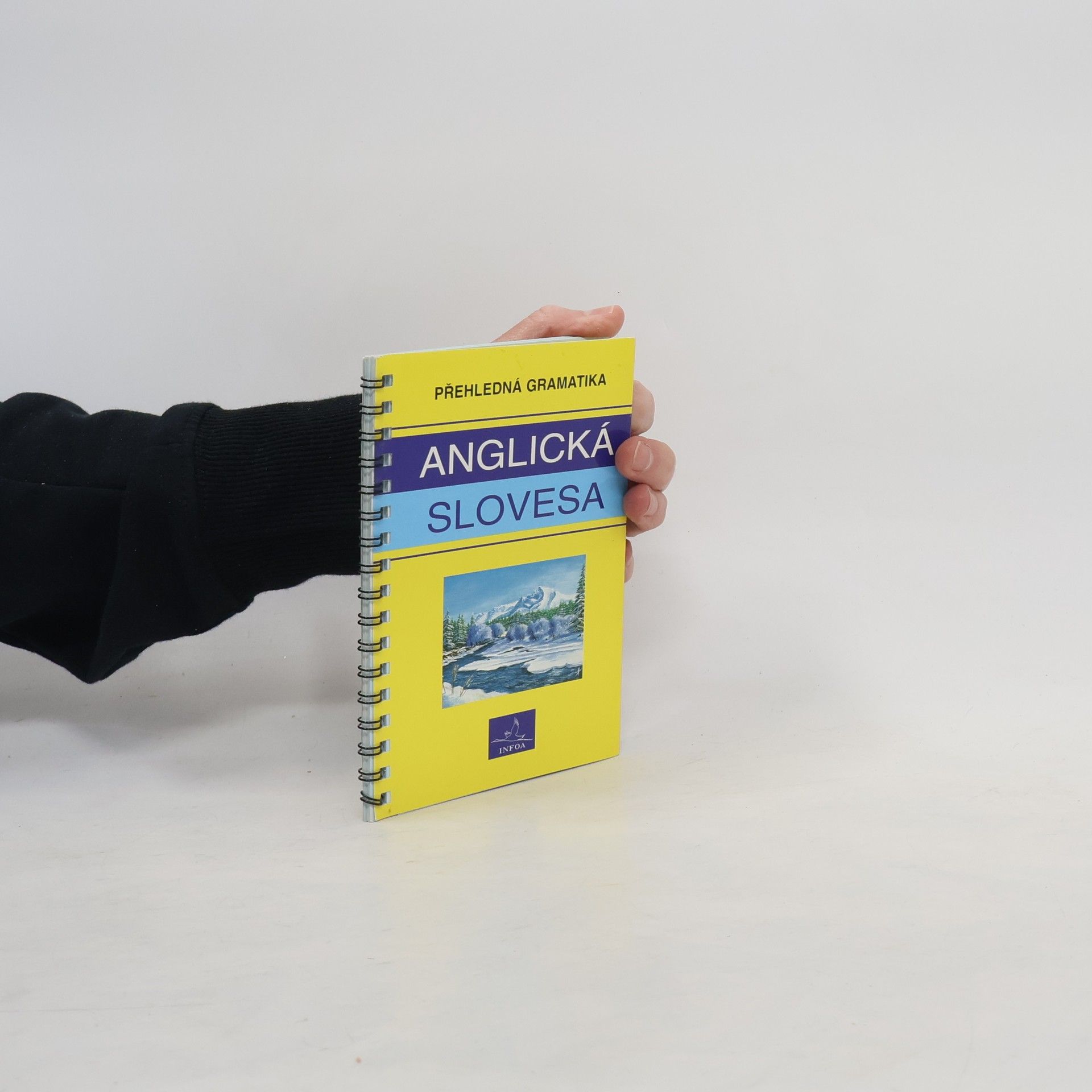 Autorenkollektiv Anglická slovesa : přehledná gramatika