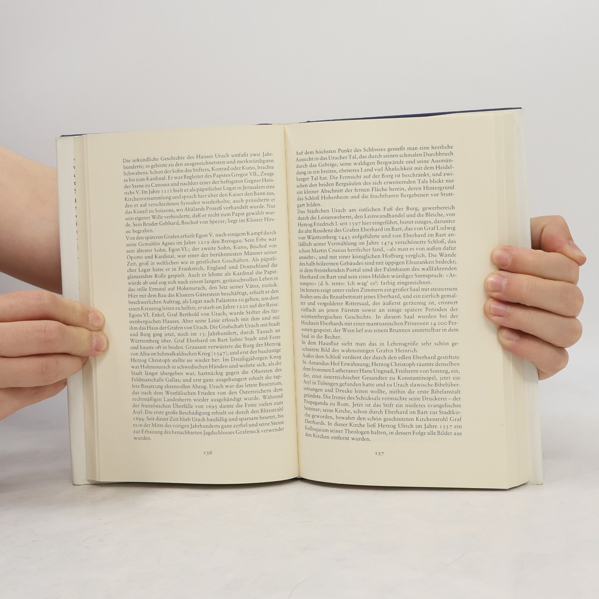Autorenkollektiv Das malerische und romantische Deutschland