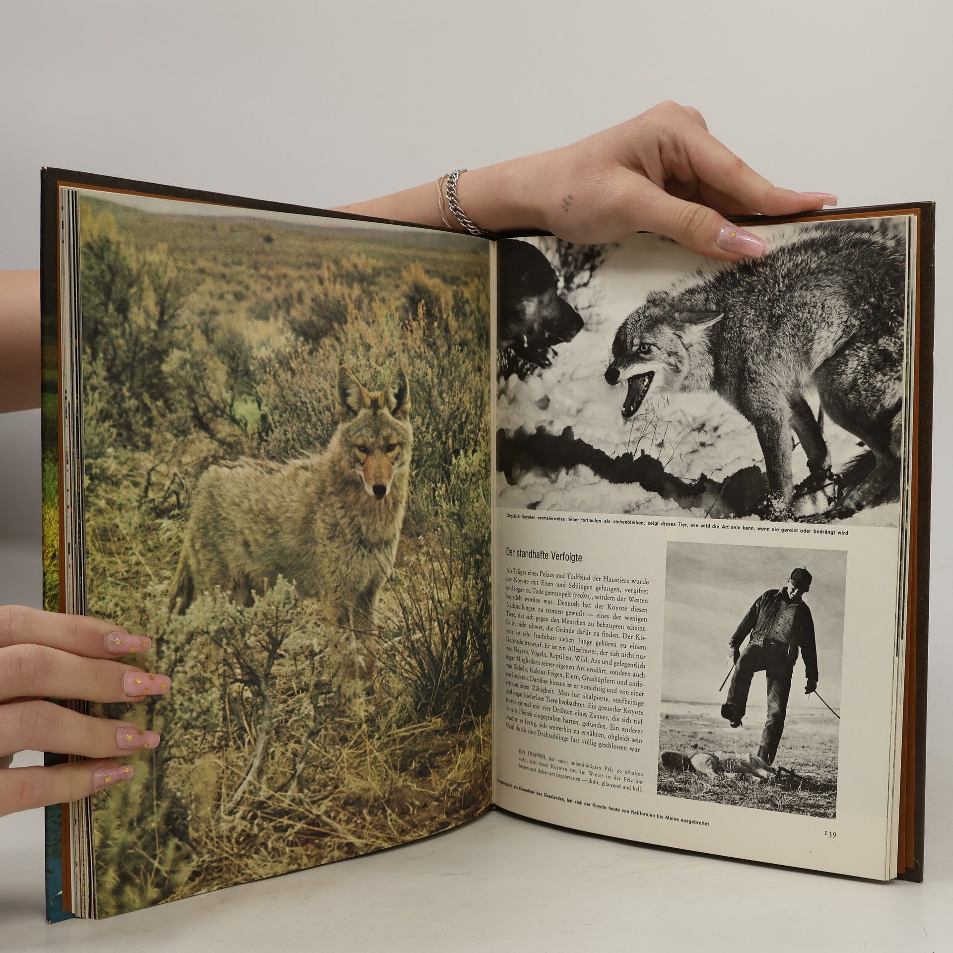 Peter Farb Life Wunder der Natur: Nordamerika Flora und Fauna