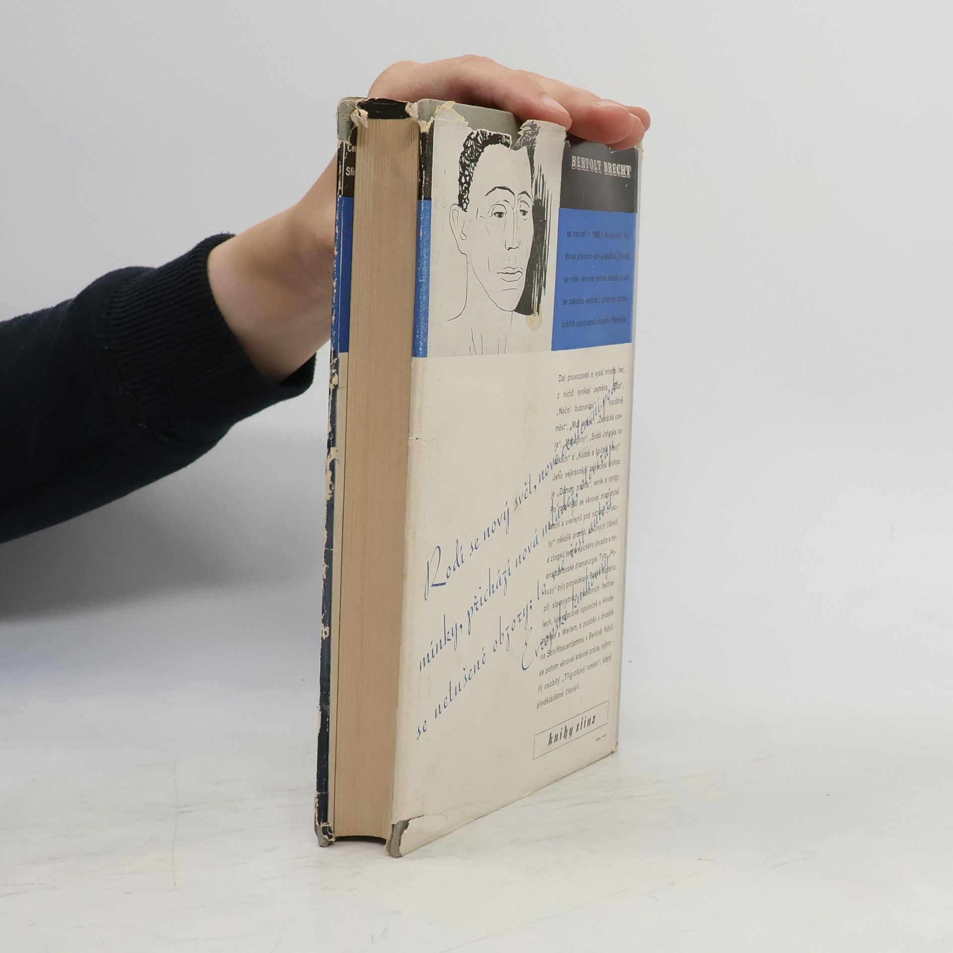 Bertolt Brecht Třígrošový román