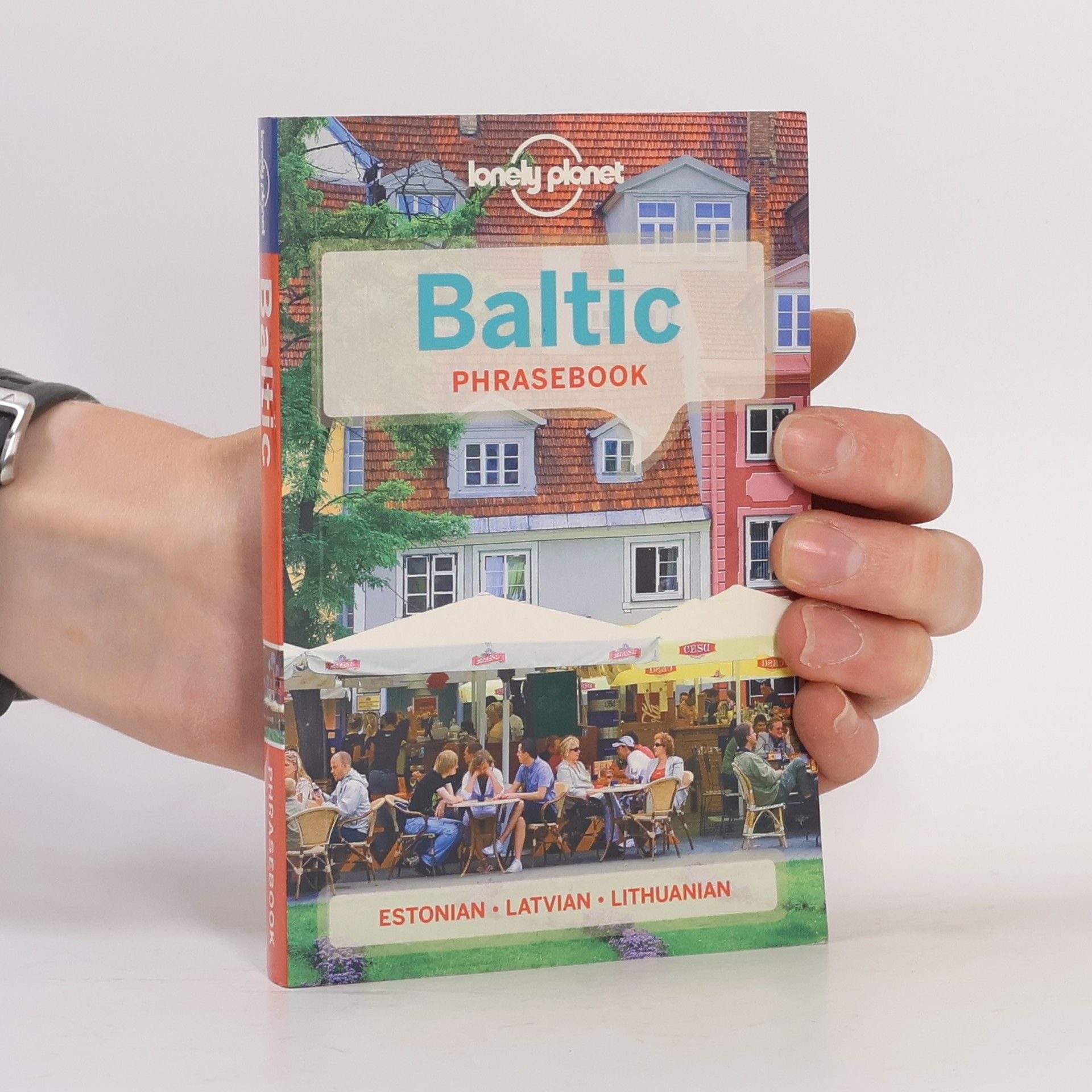Inna Feldbach Lonely Planet Baltic Phrasebook & Dictionary