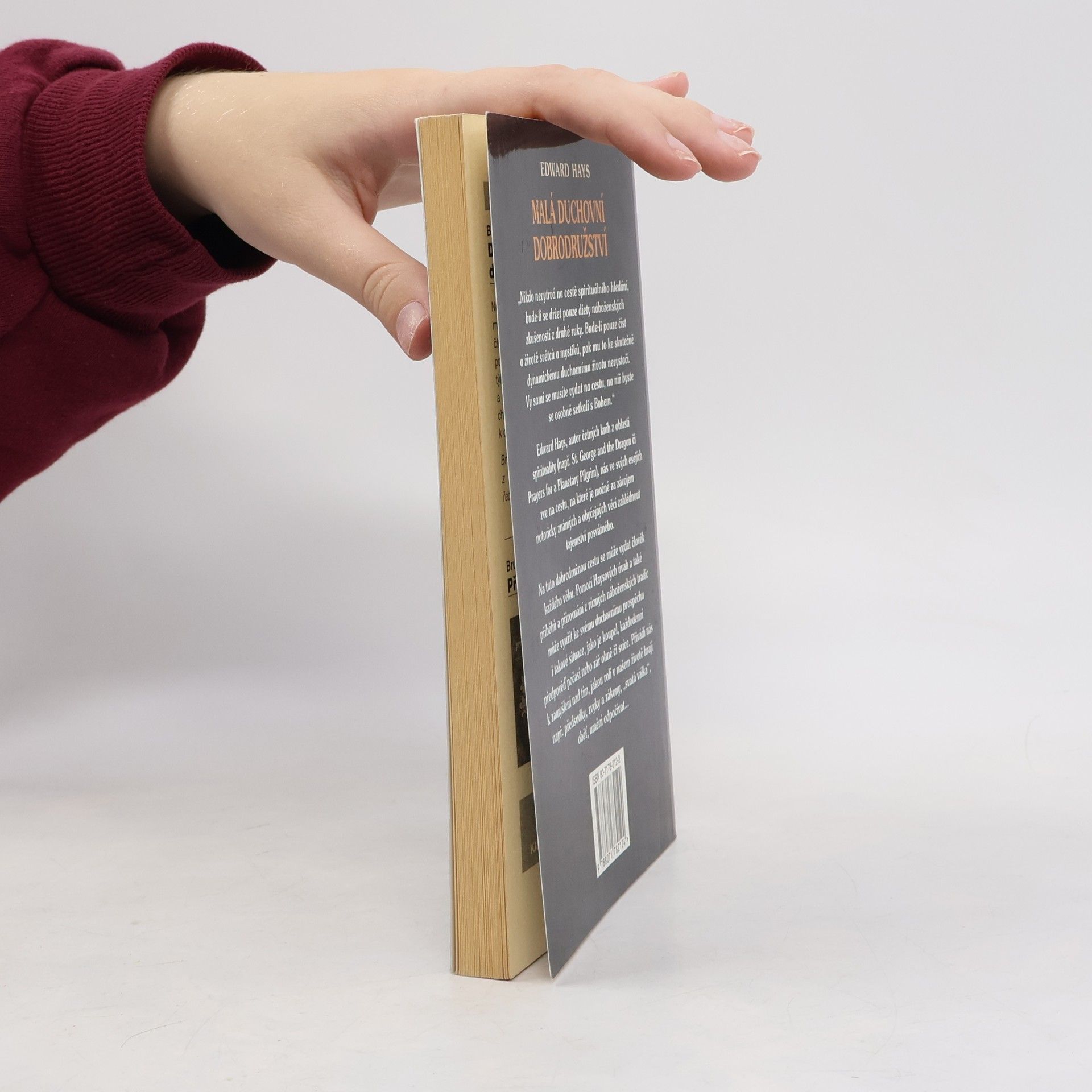 Edward Hays Malá duchovní dobrodružství